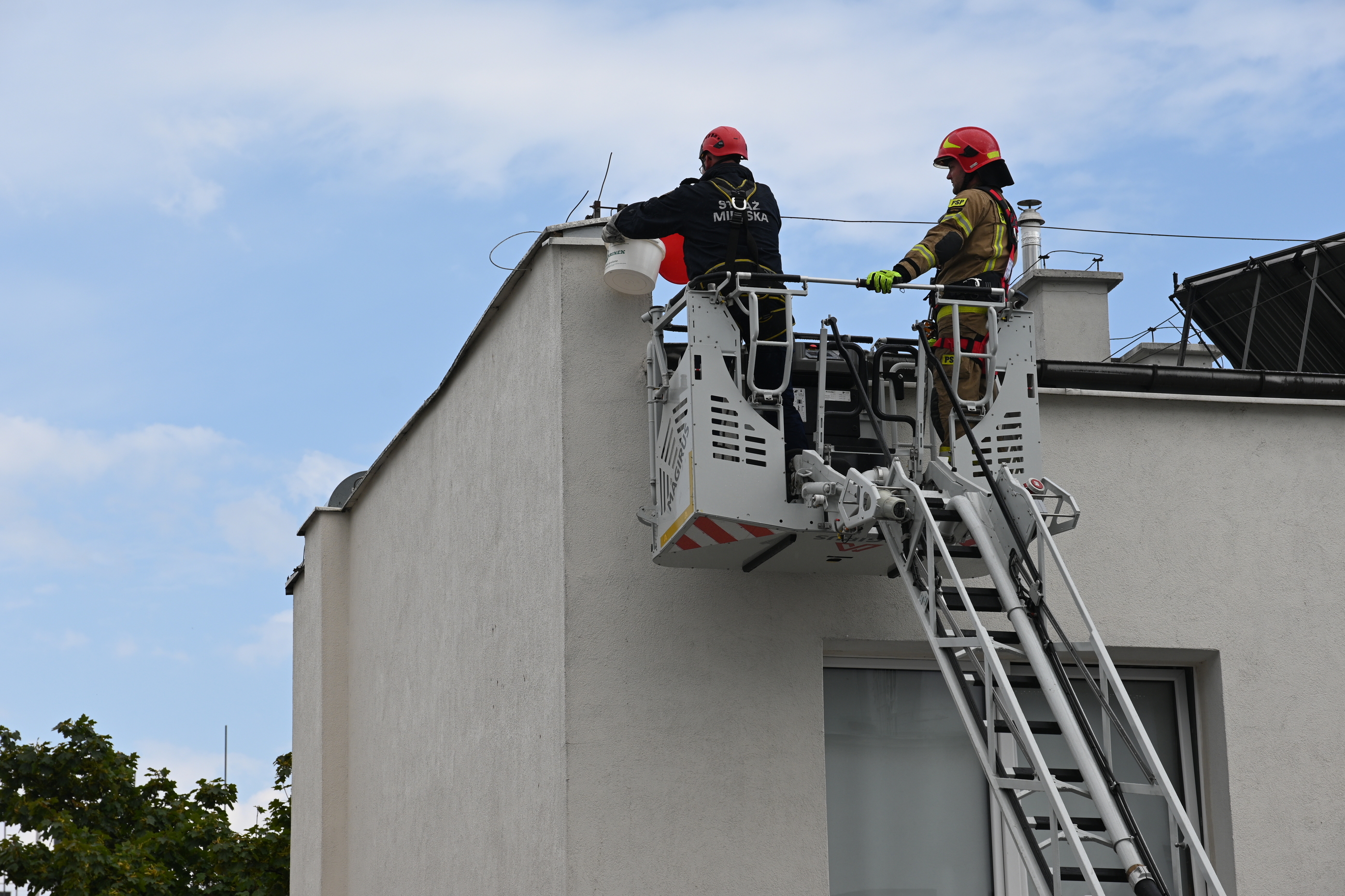 Na zdjęciu akcja strażników miejskich i strażaków na dachu fot. Z. Gołąb