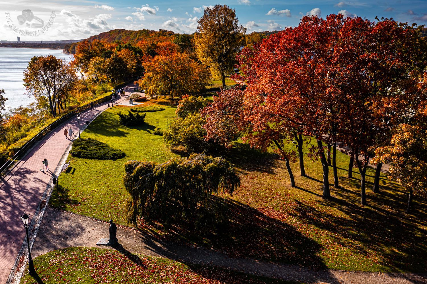 W Gdyni tylko na terenach gminnych rośnie ponad 100 tysięcy drzew. Na zdjęciu jeden z miejskich terenów zielonych, park przy Promenadzie Królowej Marysieńki w Orłowie, fot. Marek Sałatowski / z facebookowej grupy „Gdynia w obiektywie”