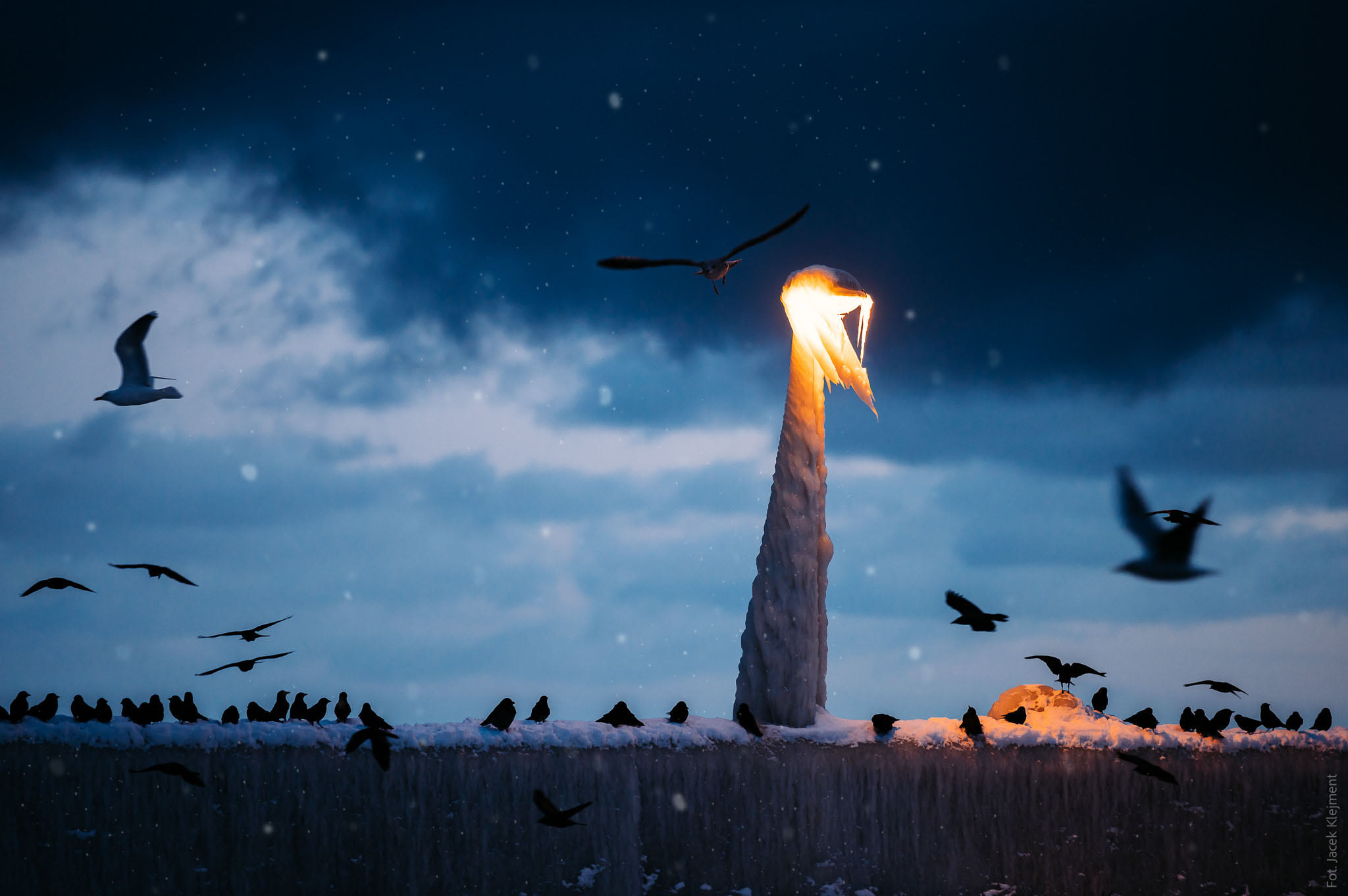 Latarnia przy falochronie pokryta lodem. Na falochronie siedzą ptaki, latarnia świeci się, fot. Jacek Klejment
