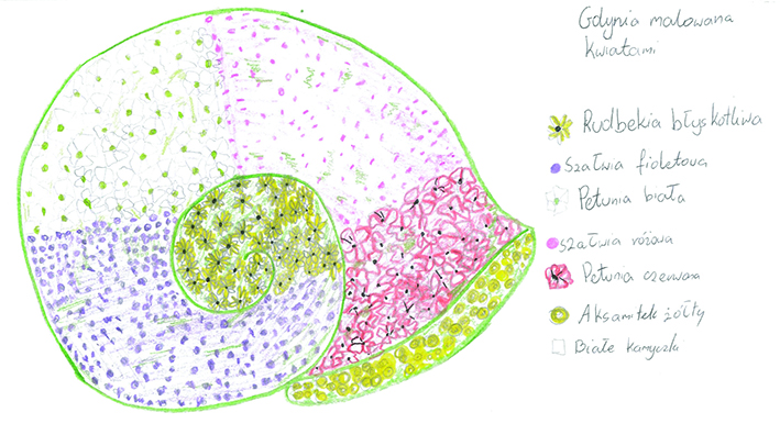 Na zdjęciu ułożony z kwiatków ślimak