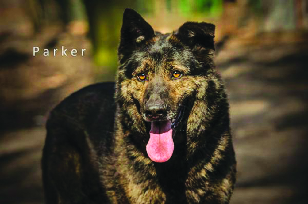 Parker