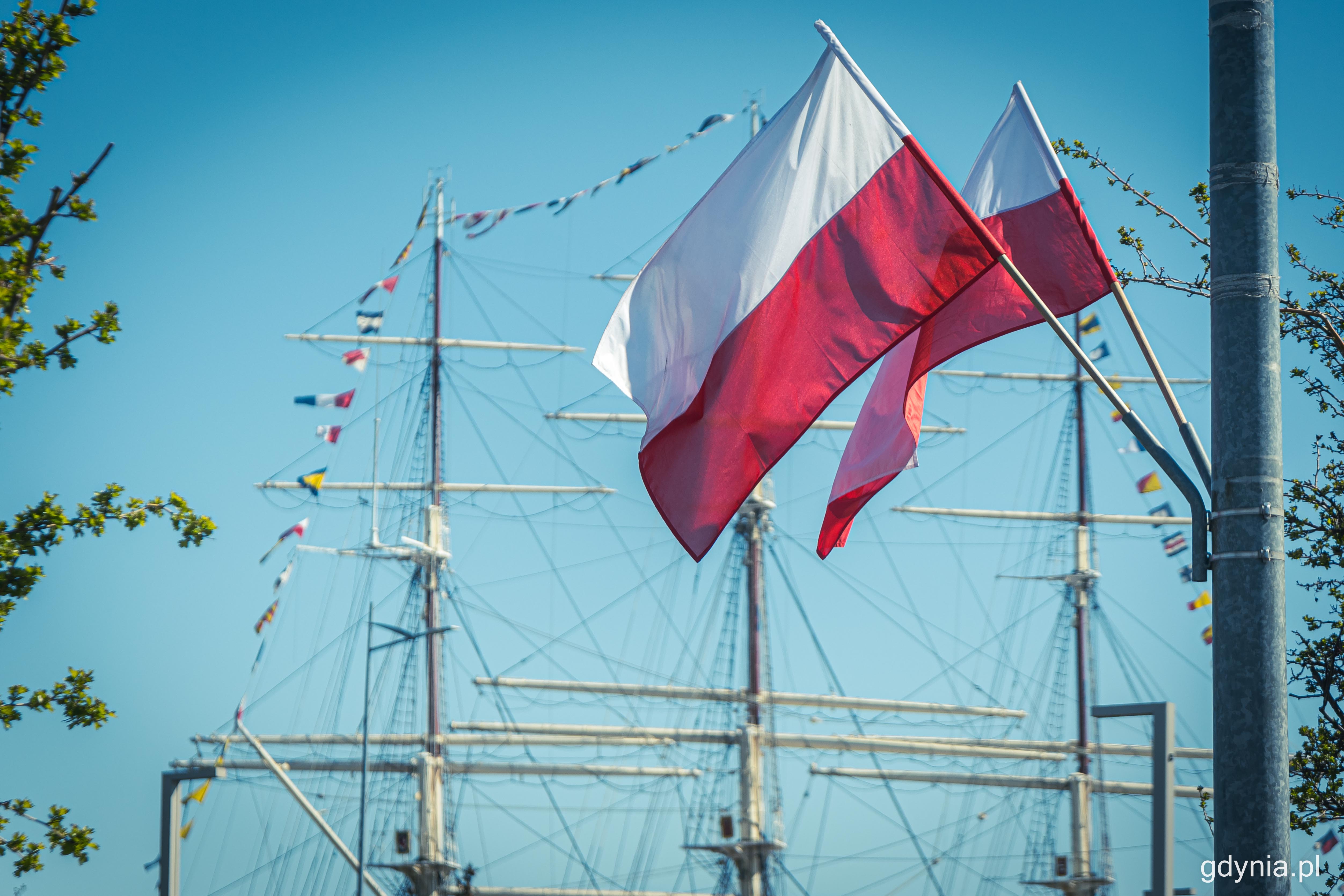 Biało-czerwone flagi zawisły na ulicach Gdyni, fot. Kamil Złoch