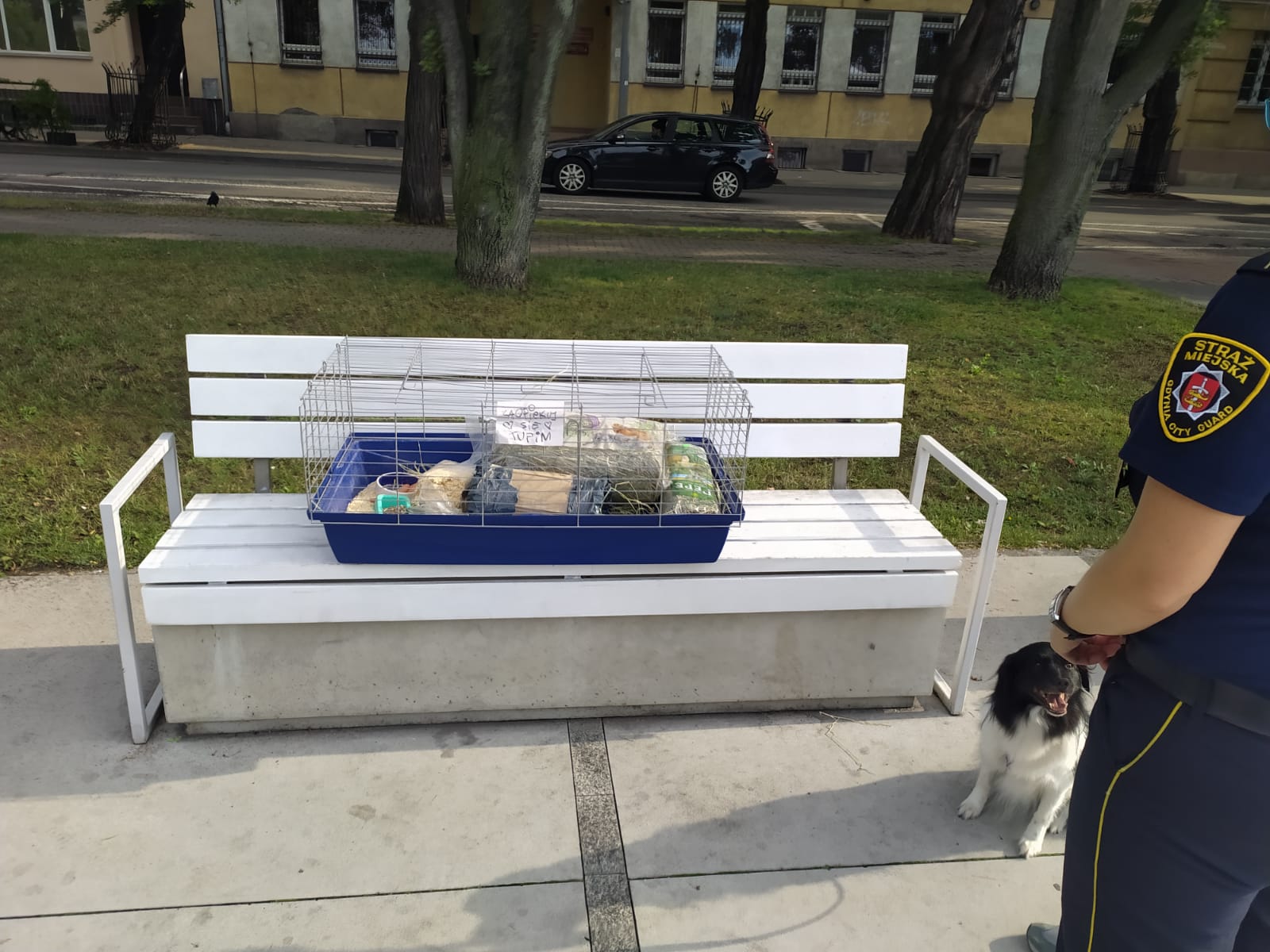 Klatkę ze świnką porzucono na ławce przy Pomniku Polski Morskiej, fot. Straż Miejska w Gdyni / Ekopatrol