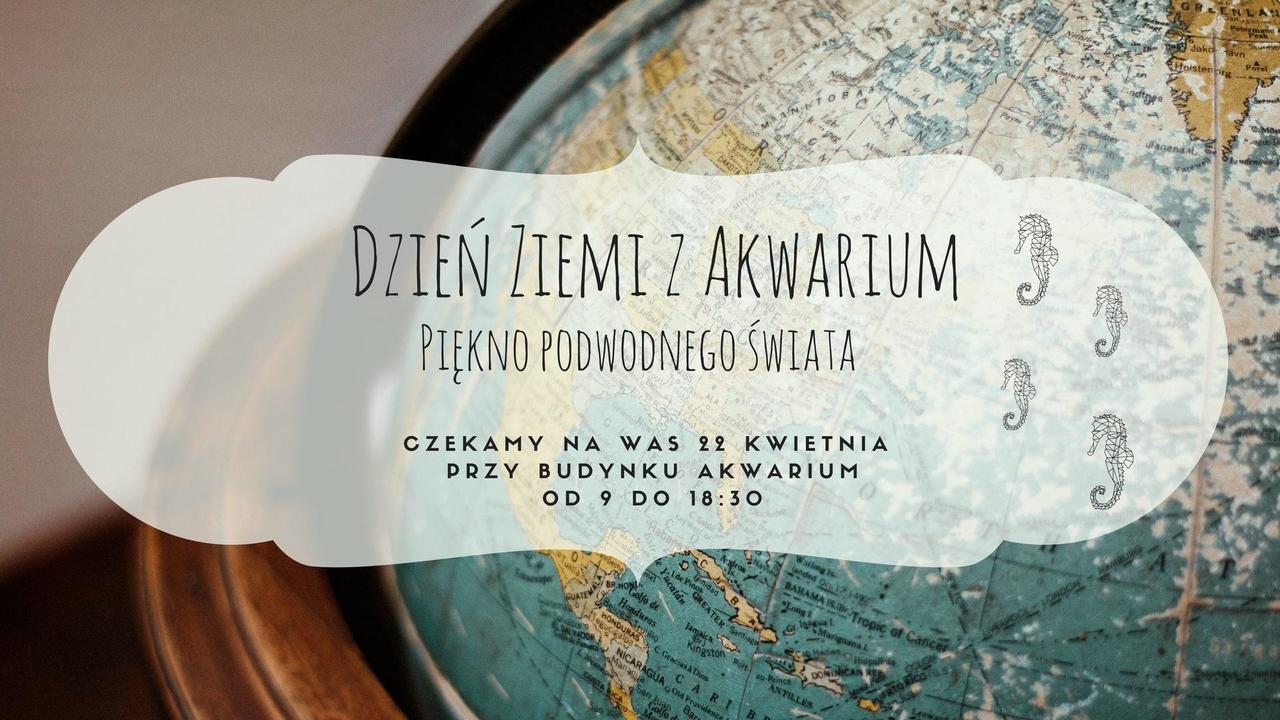 Obchody Dnia Ziemi z Akwarium Gdyńskiego będą okazją do zanurzenia się w podwodny świat i pochylenia się nad problemem zanieczyszczenia wód tworzywami sztucznymi, w tym często pomijanym mikroplastikiem. // fot. materiały prasowe.