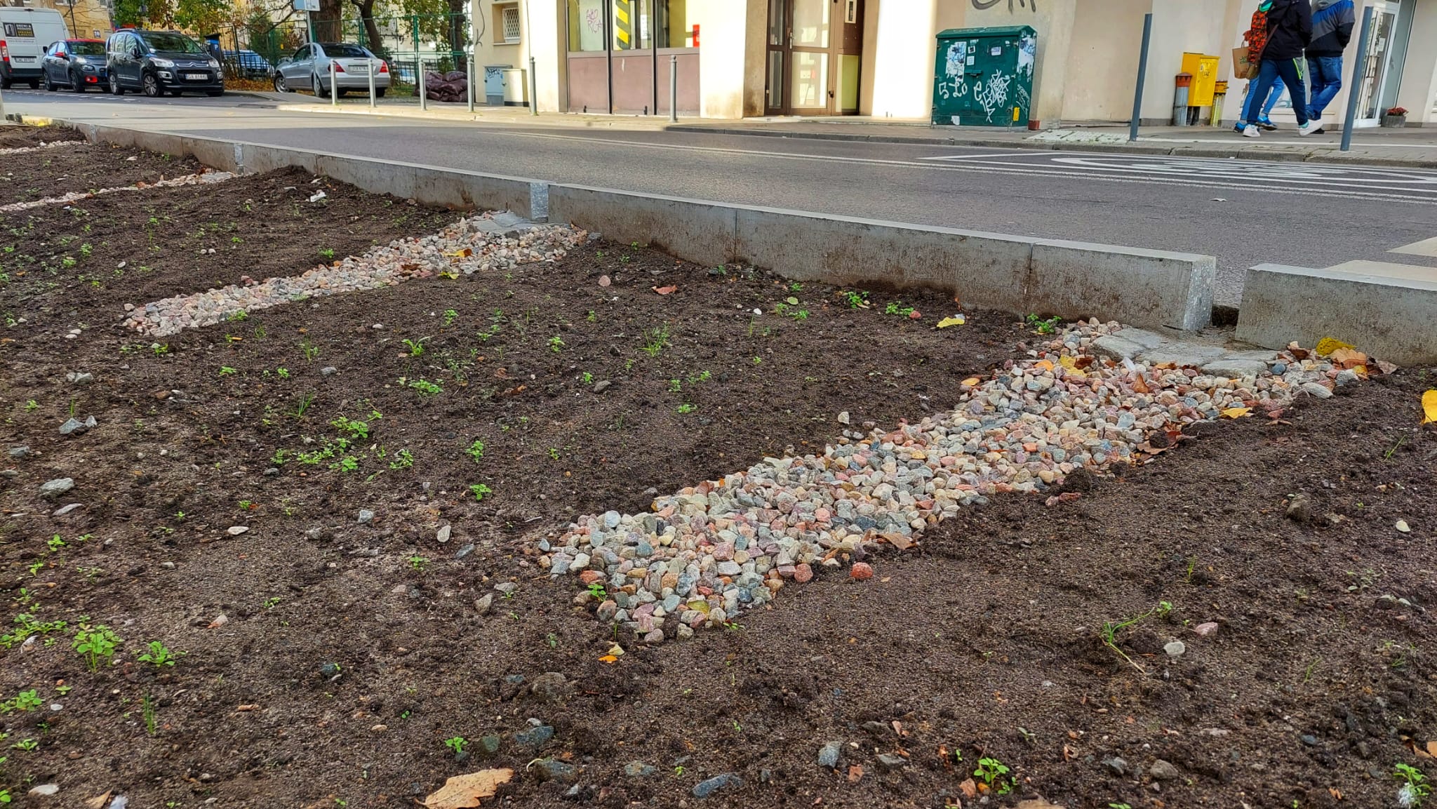 Poprawa retencji wody na ul. Batorego, zieleniec, krawężniki z otworami