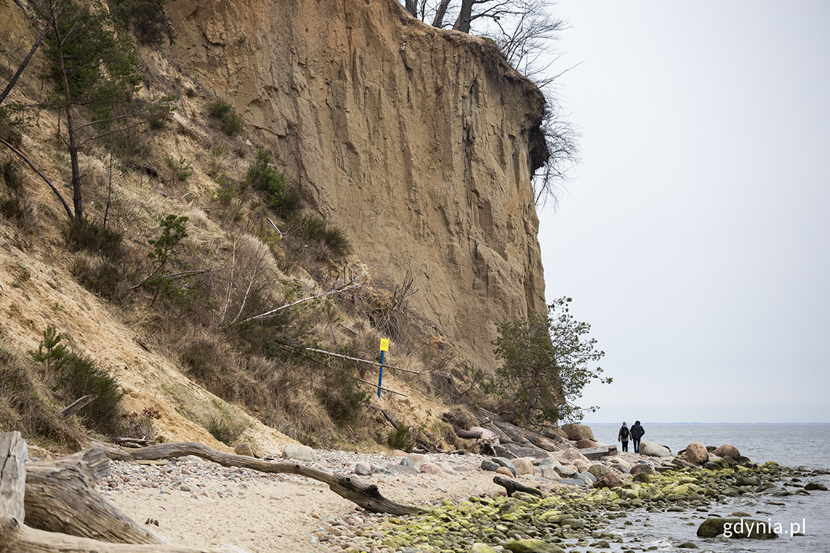 Klif Gdynia (fot. Przemysław Kozłowski)