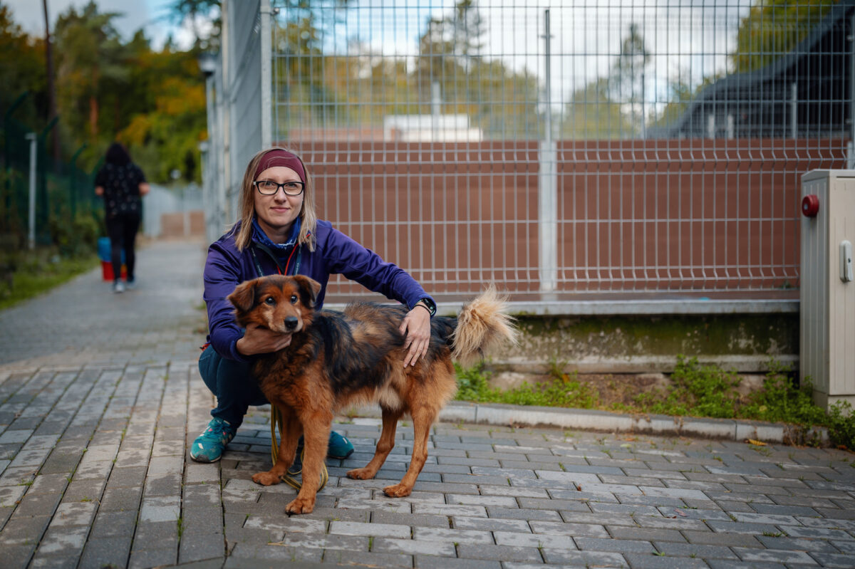 – Knofliczek, psiak ze zdjęcia to jeden z psich seniorów, który zdążył pójść do domu to jedna z takich adopcji co szczególnie cieszy, bo w trakcie pobytu w schronisku okazało się że cierpi na nowotwór – wyjaśnia pani Karolina//fot. Dawid Linkowski