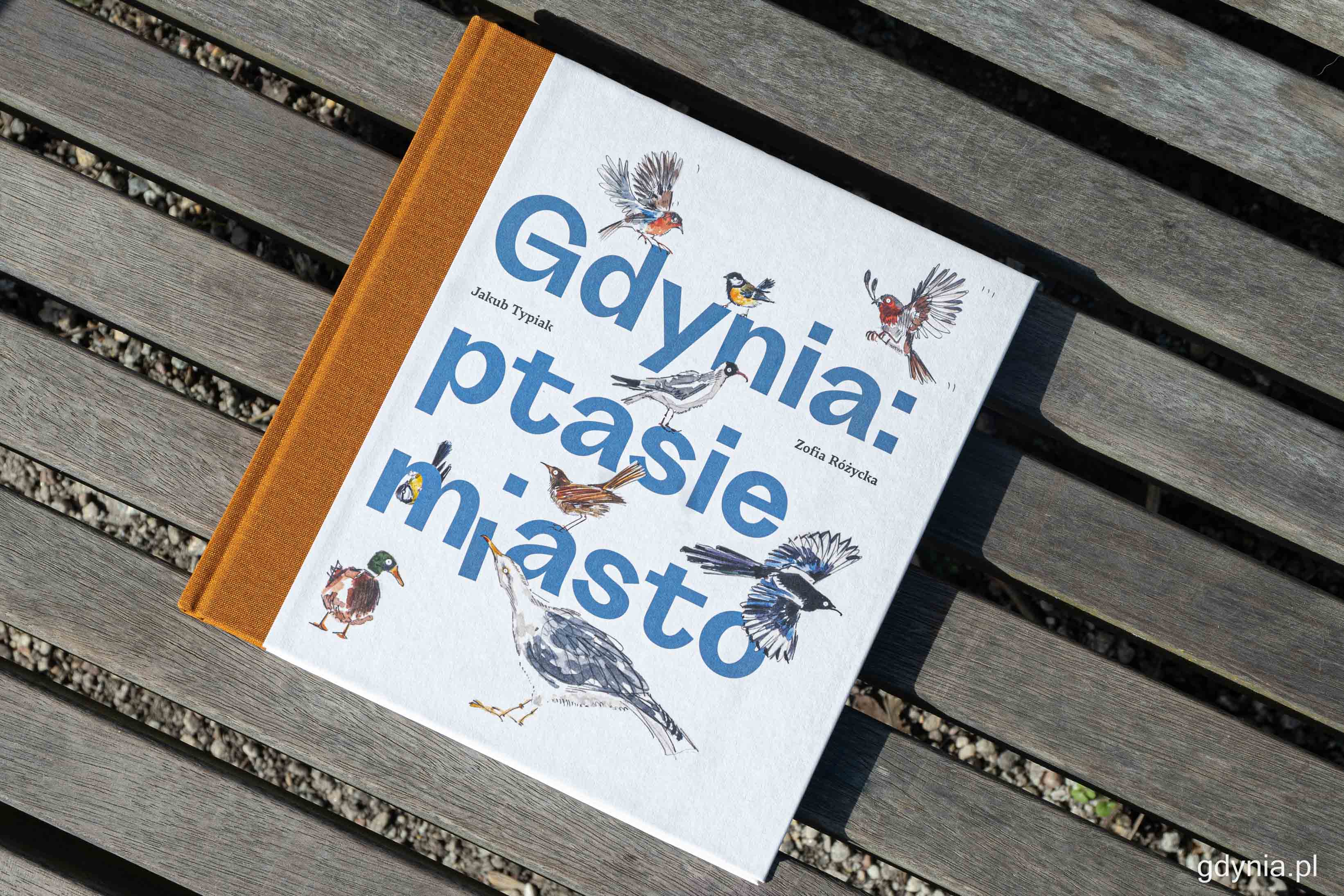 Nowa książka „Gdynia: ptasie miasto”, fot. Kamil Złoch