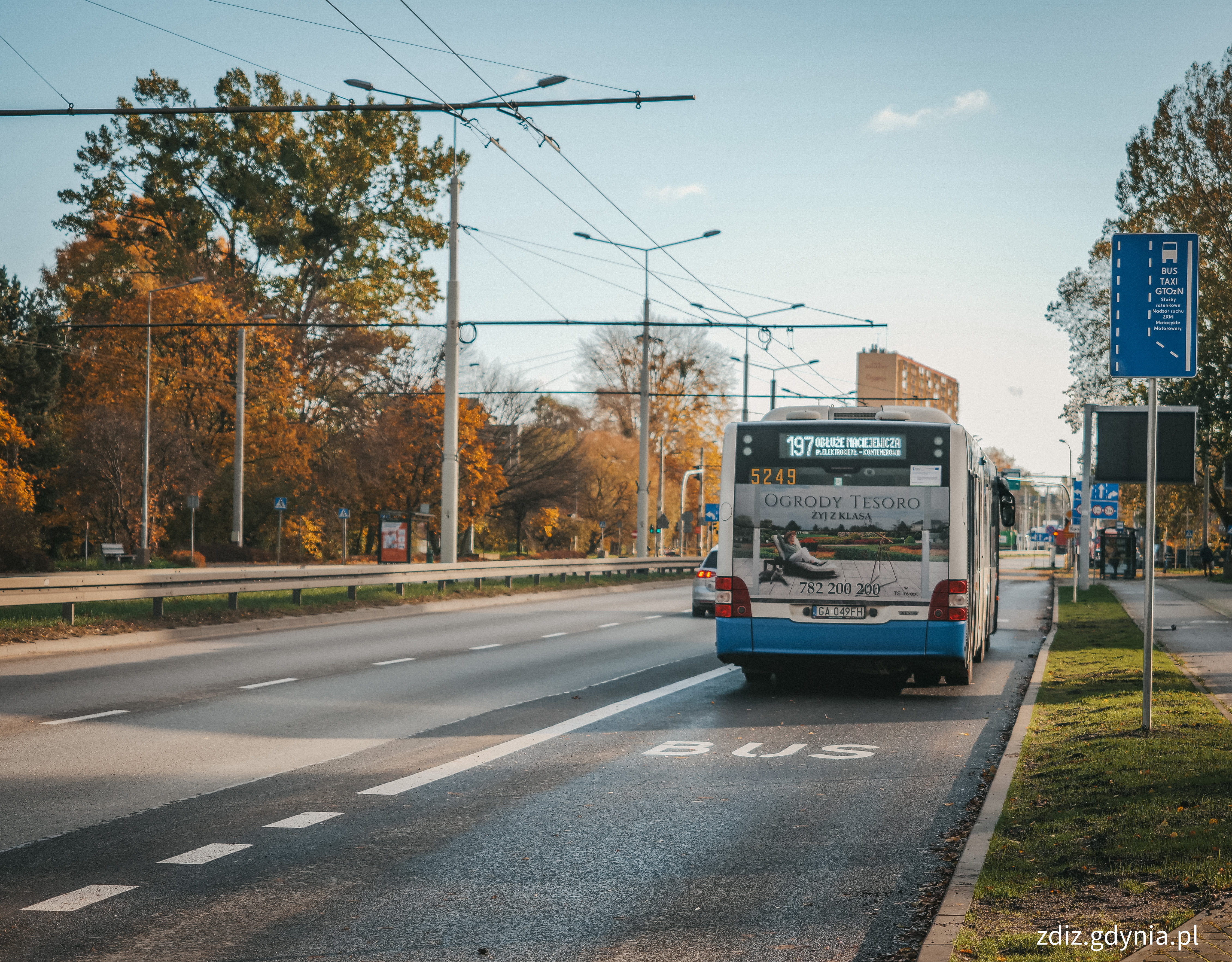 autobus na buspasie, jezdnia, ruch uliczny