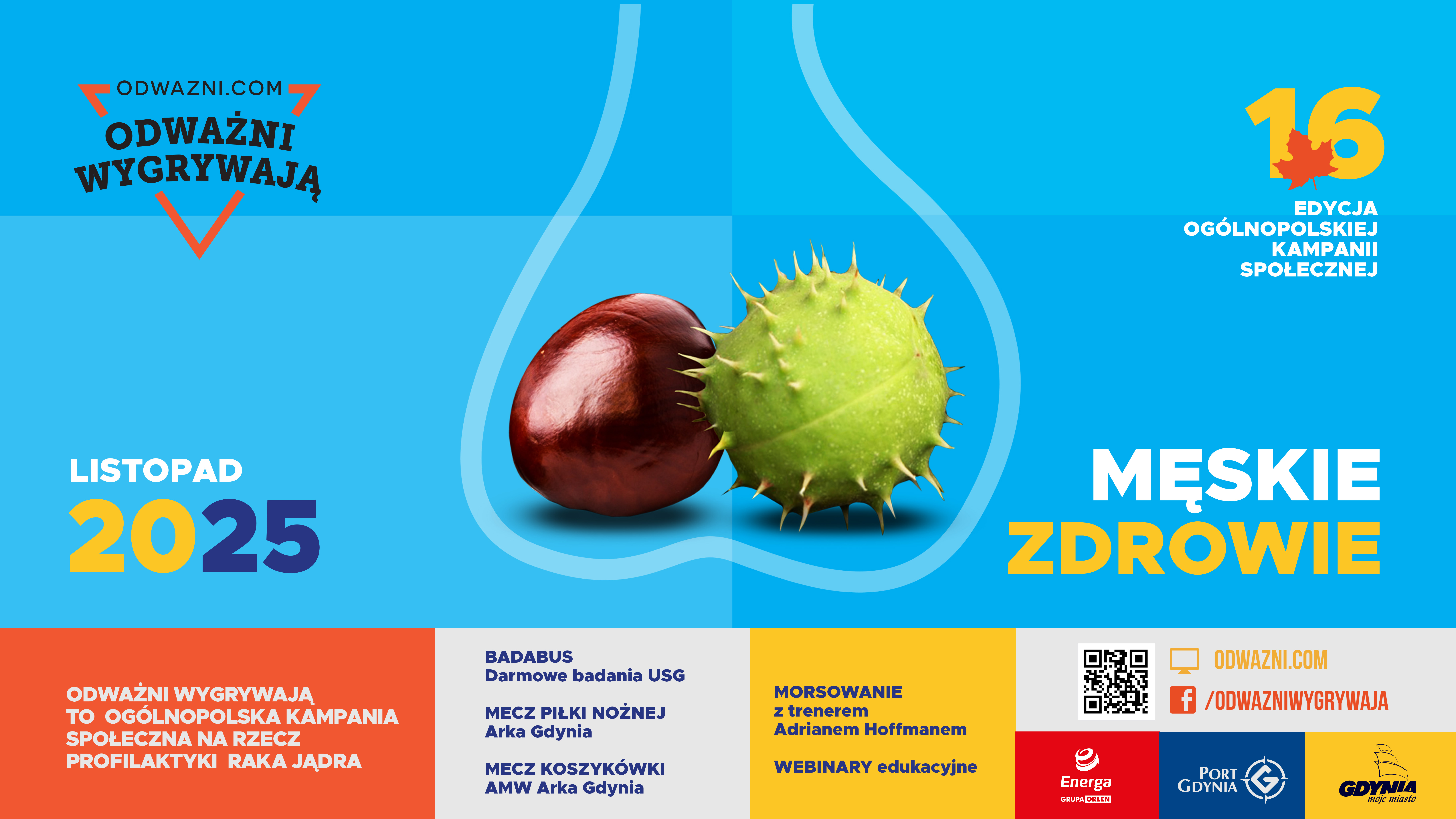 Plakat przedstawiający kasztany na niebieskim tle oraz logotypy partnerów akcji