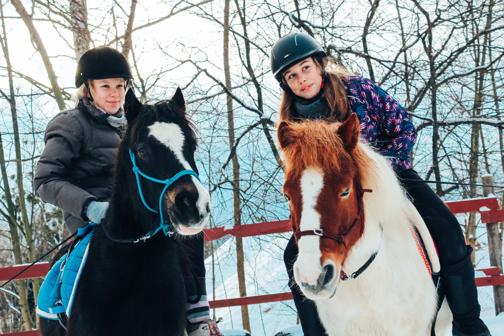 Ferie z końmi, źródło: Kolibki Adventure Park