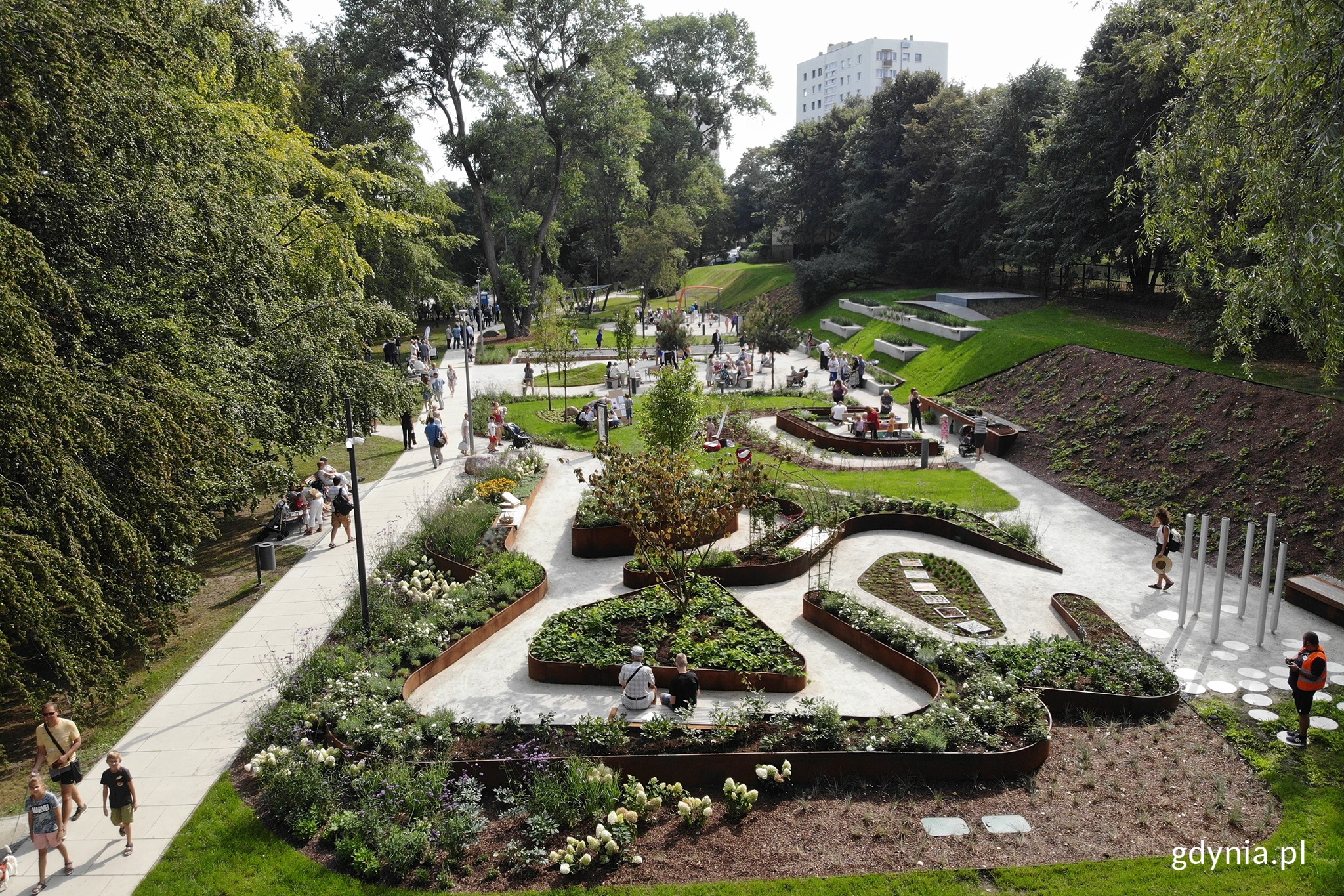 Park Centralny w Gdyni, fot. Michał Puszczewicz / archiwalne
