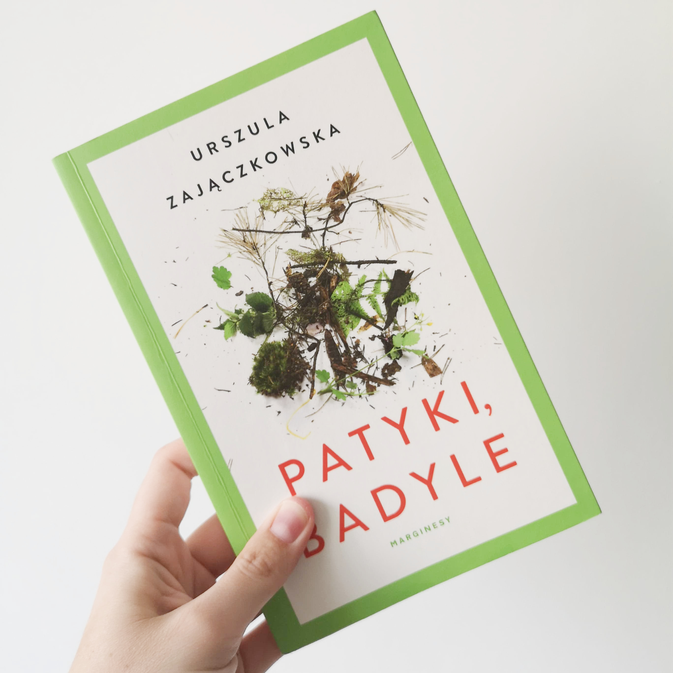 Urszula Zajączkowska "Patyki, badyle", fot. Biblioteka Gdynia