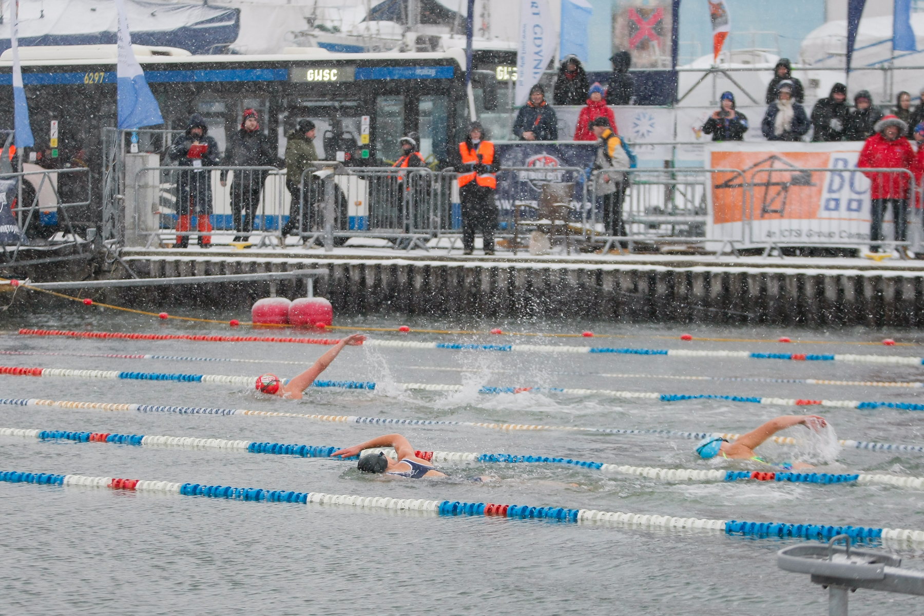 uczestnicy zimowego pływania w marinie gdynia
