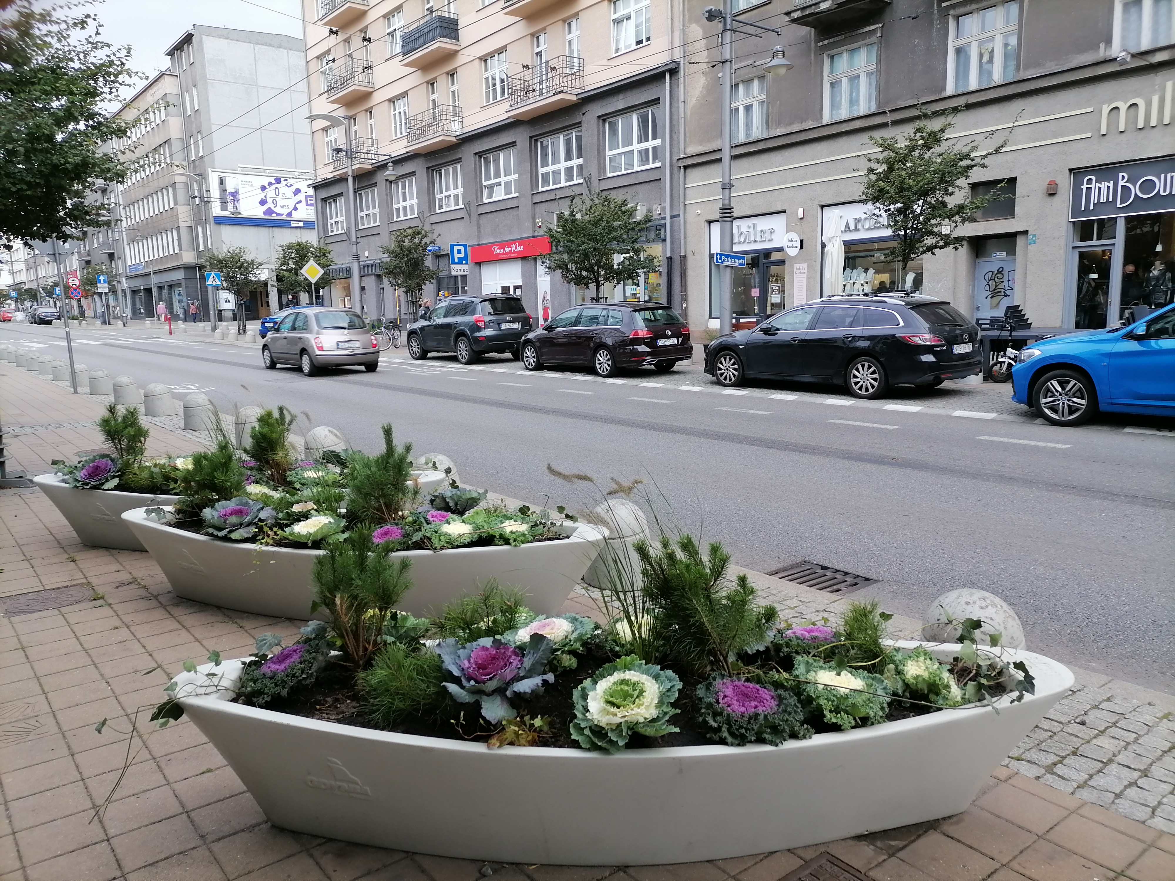 donica w kształcie łódeczki na ulicy Świętojańskiej, nasadzono w niej kapustę ozdobną, trawy oraz sosnę górską, fot. Wydział Ogrodnika Miasta