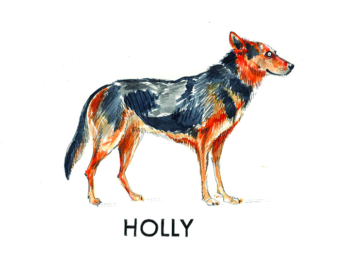 suczka Holly