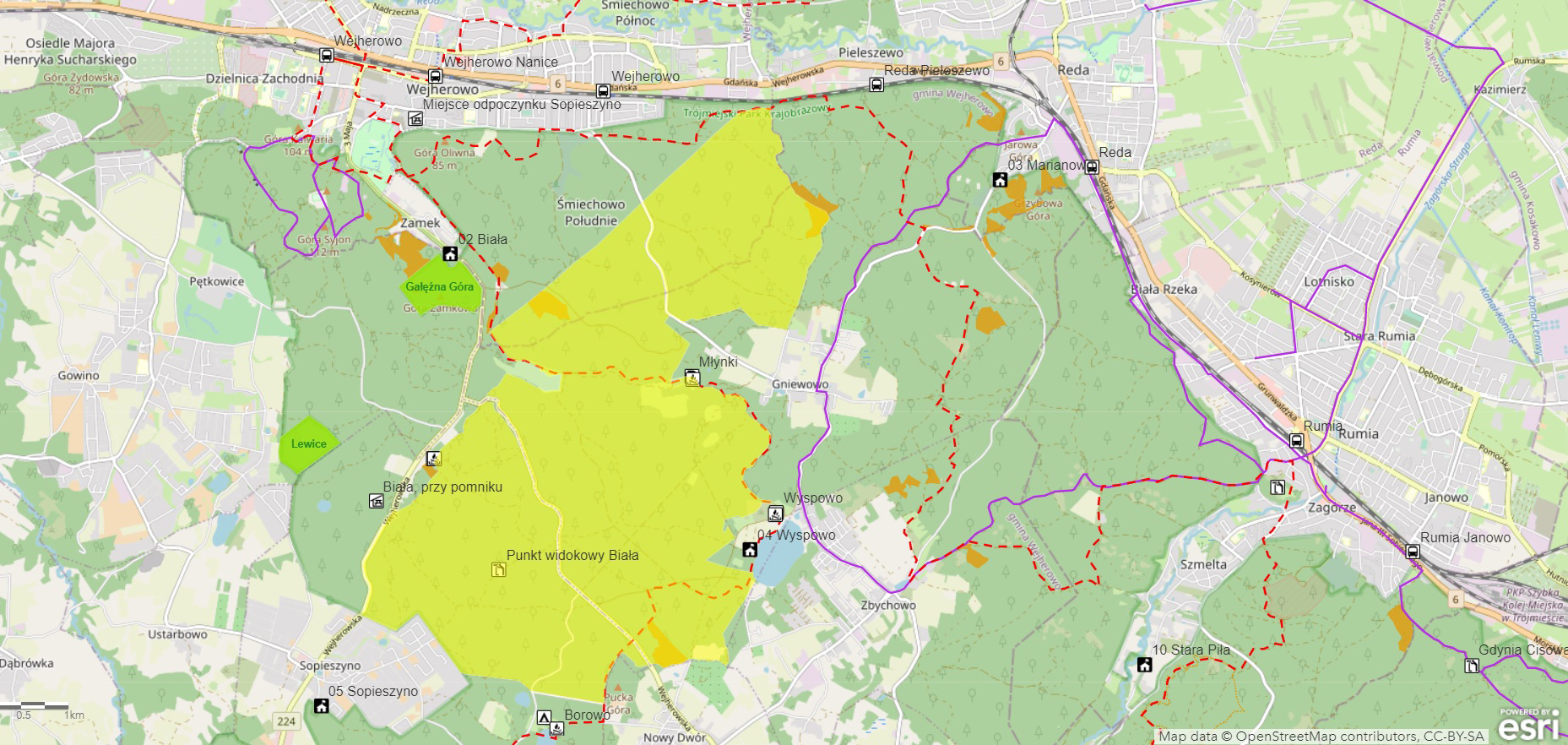 Mapa bushcraftowego obszaru pilotażowego w Nadleśnictwie Gdańsk. Źródło: Lasy Państwowe