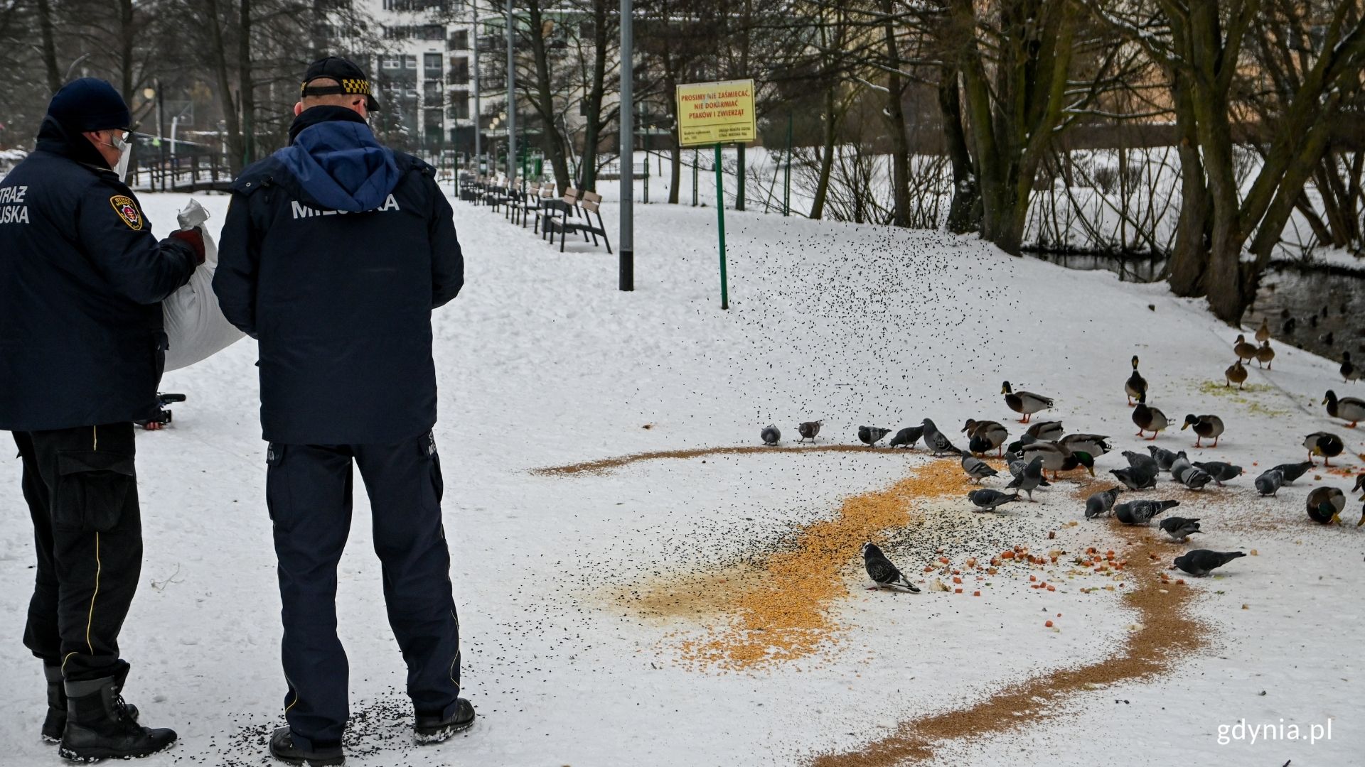 EkoPatrol dokarmia ptaki w Parku Kilońskim, fot. Magda Śliżewska