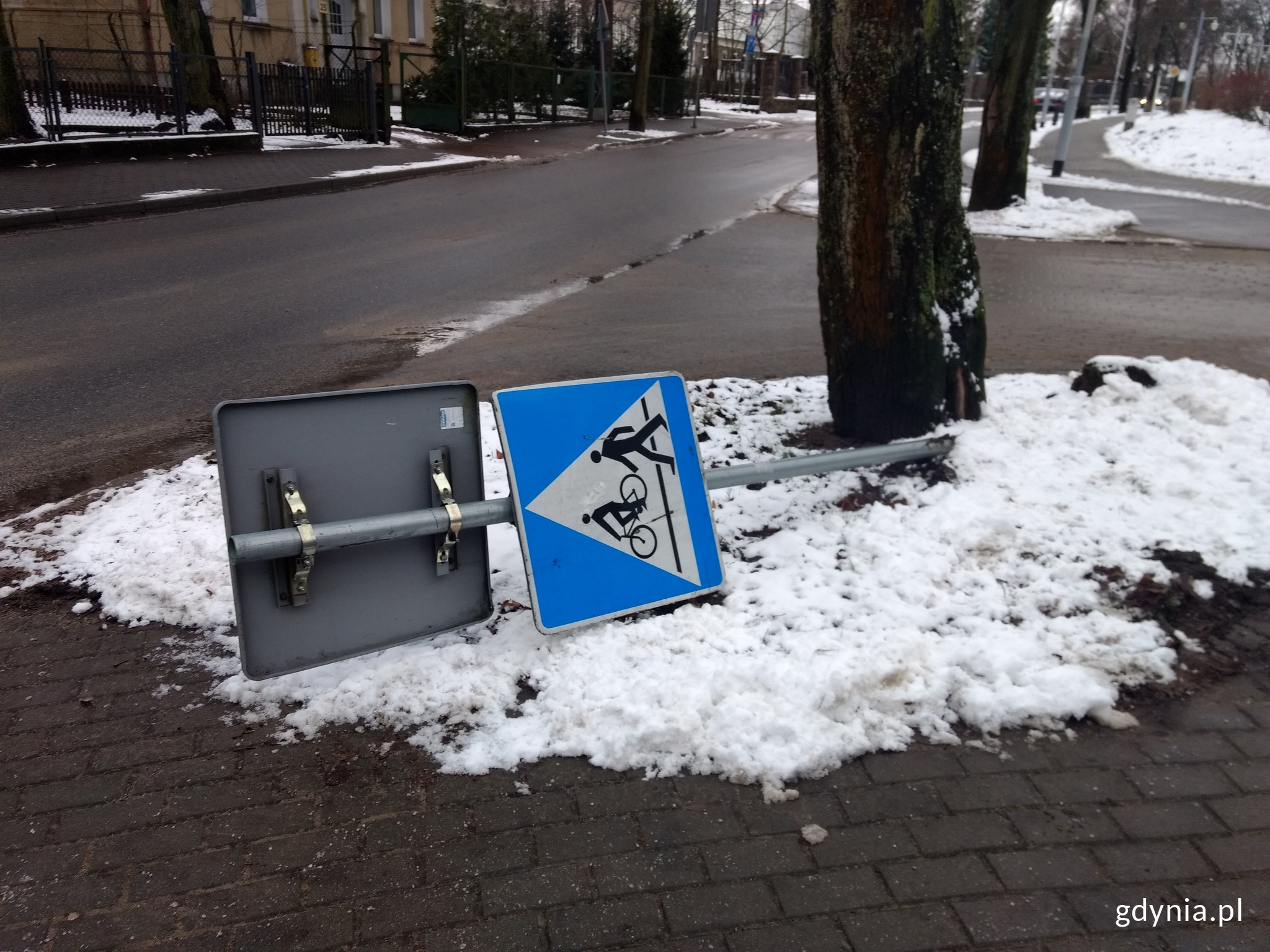 Przewrócony znak ul. Orłowska.jpg/fot. mat. GCK