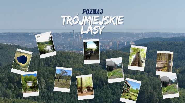 Zdjęcie lotnicze, zalesione wzgórza, na drugim planie widoczna panorama trójmiasta. Na zdjęciu naniesione fotografie miejsc w lasach: drzew, polach, małej architektury