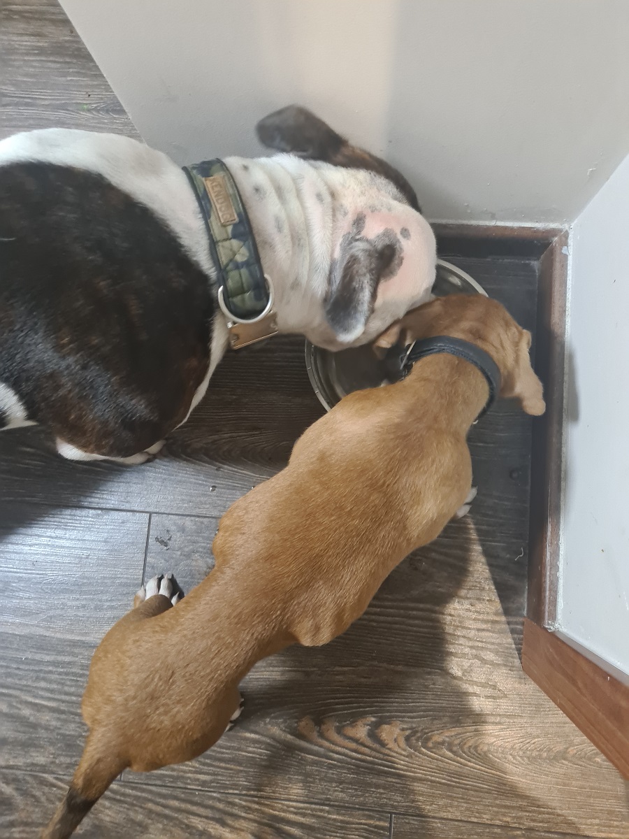 Egon i Pablo. 