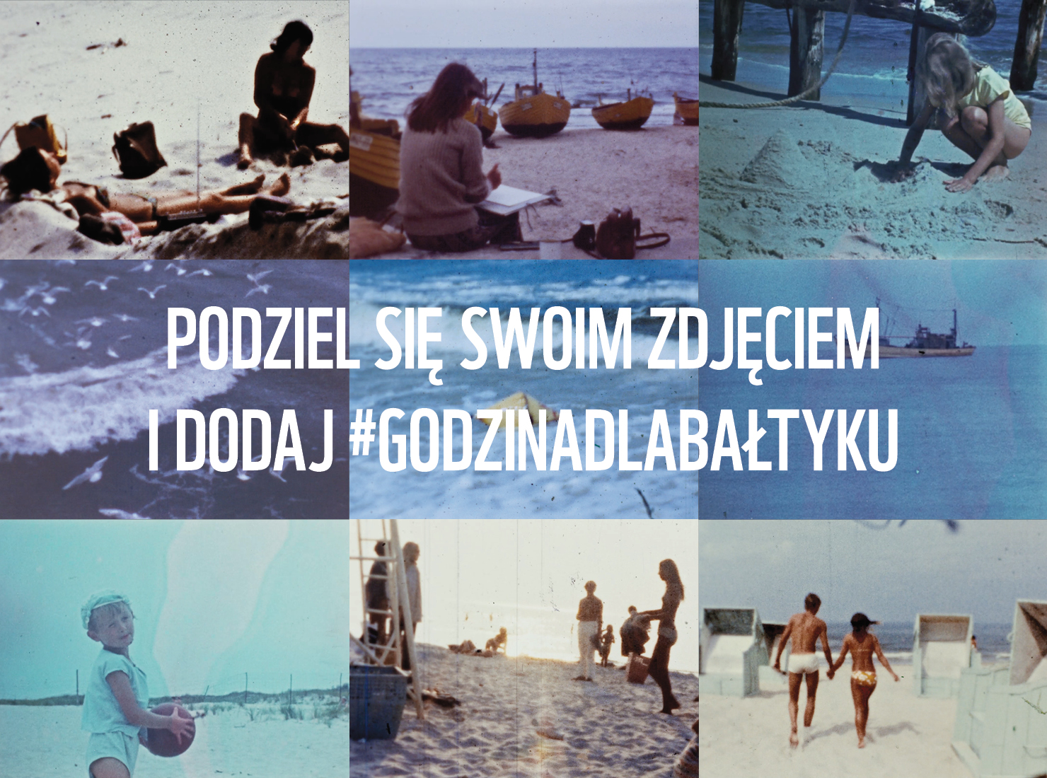 Sentymentalne zdjęcia znad Bałtyku, źródło: WWF Polska