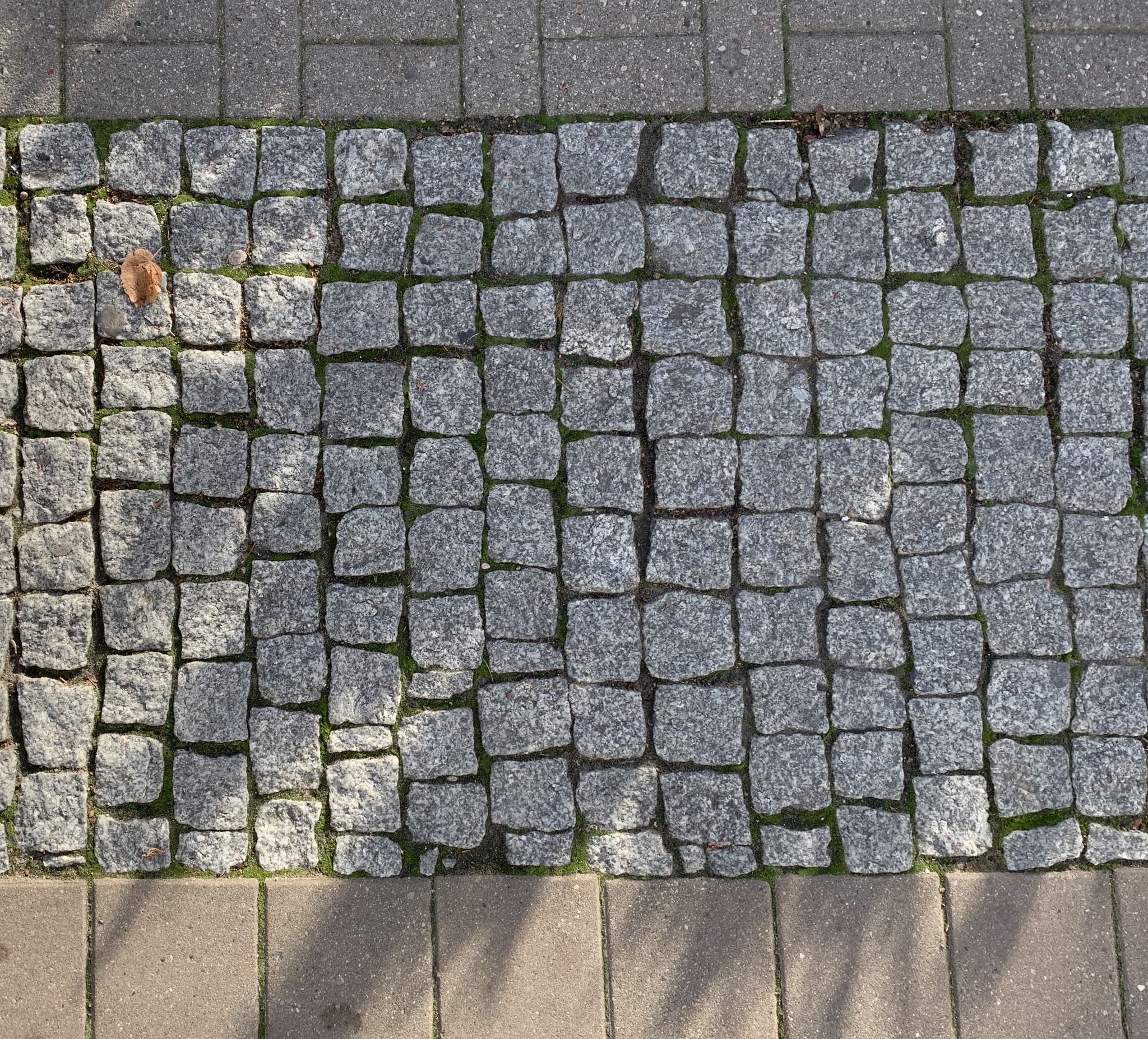 Nawierzchnia rozszczelniona chodnika przy ul. Świetojańskiej