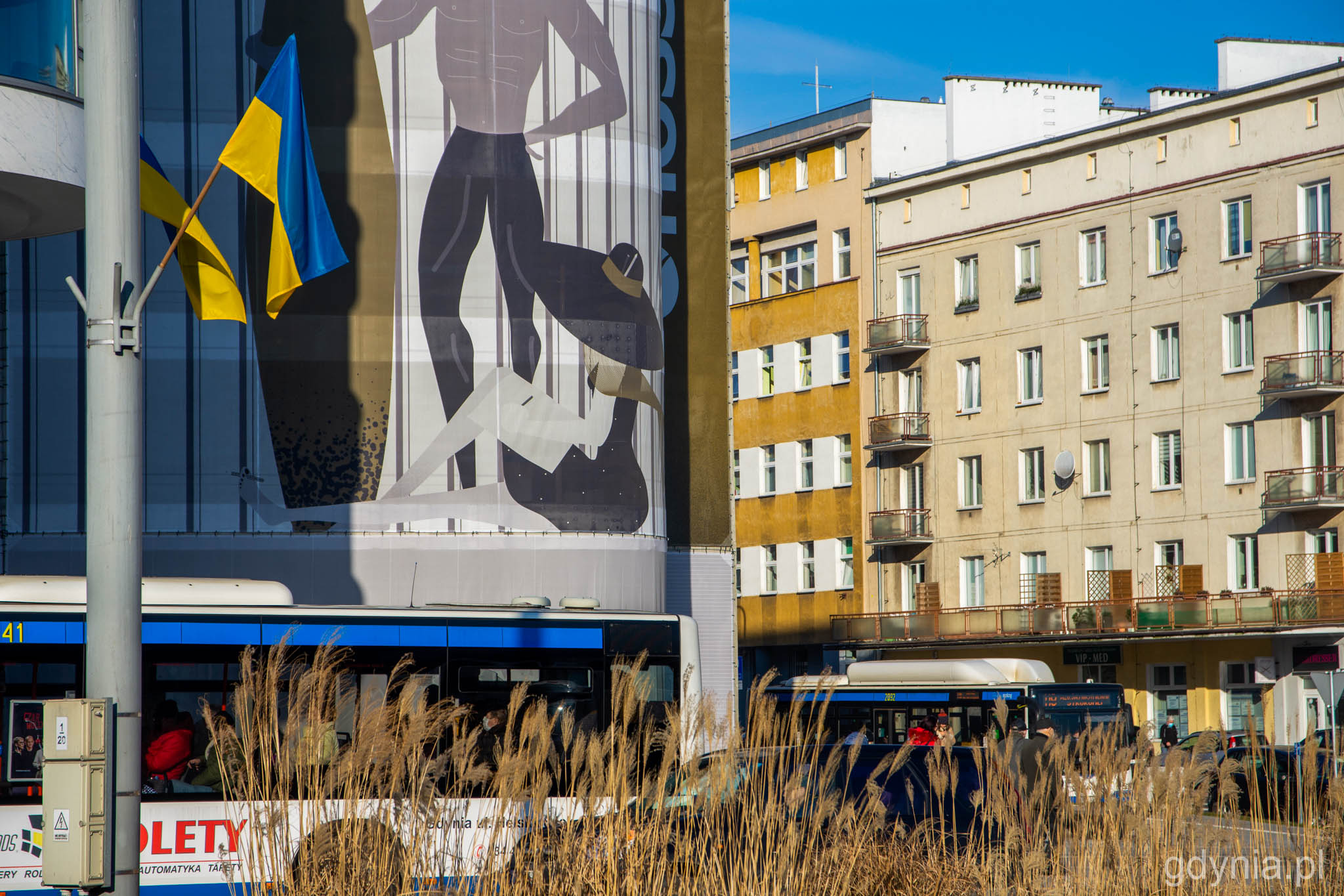 Ukraińskie flagi na ul. Władysława IV na wysokości skrzyżowania z ul. 10 Lutego // fot. Sławomir Okoń