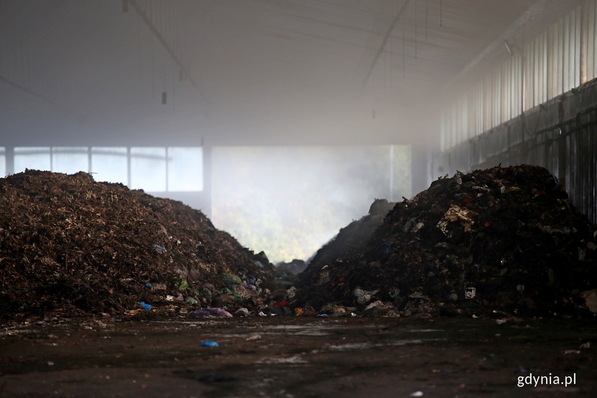 Pryzmy odpadów kuchennych w hali kompostowej Eko Doliny, gdzie zachodzi proces biodegradacji i kompostowania. Fot. Przemysław Kozłowski