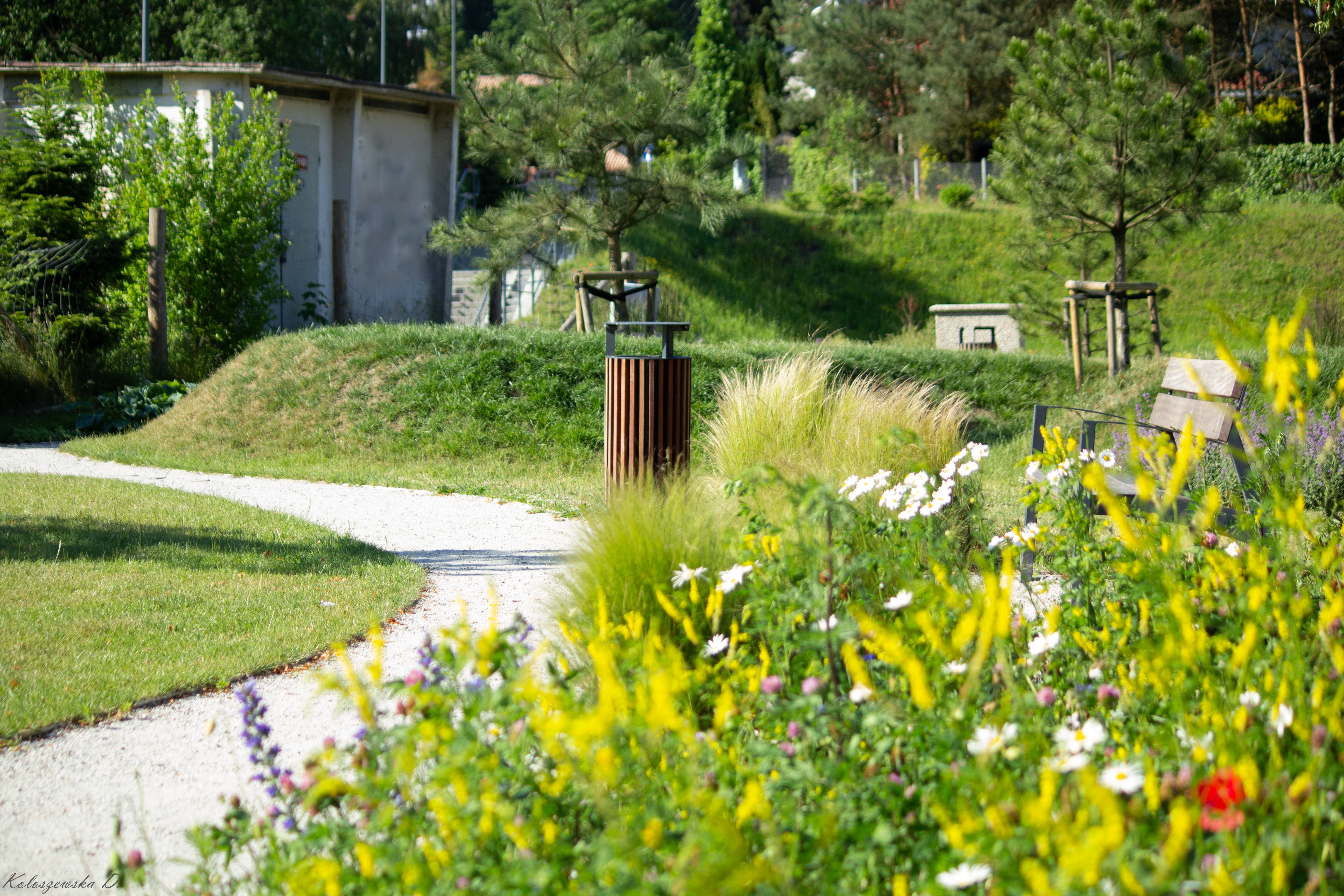 teren przy ul. Sakowicza po zagospodarowniu na park kieszonkowy