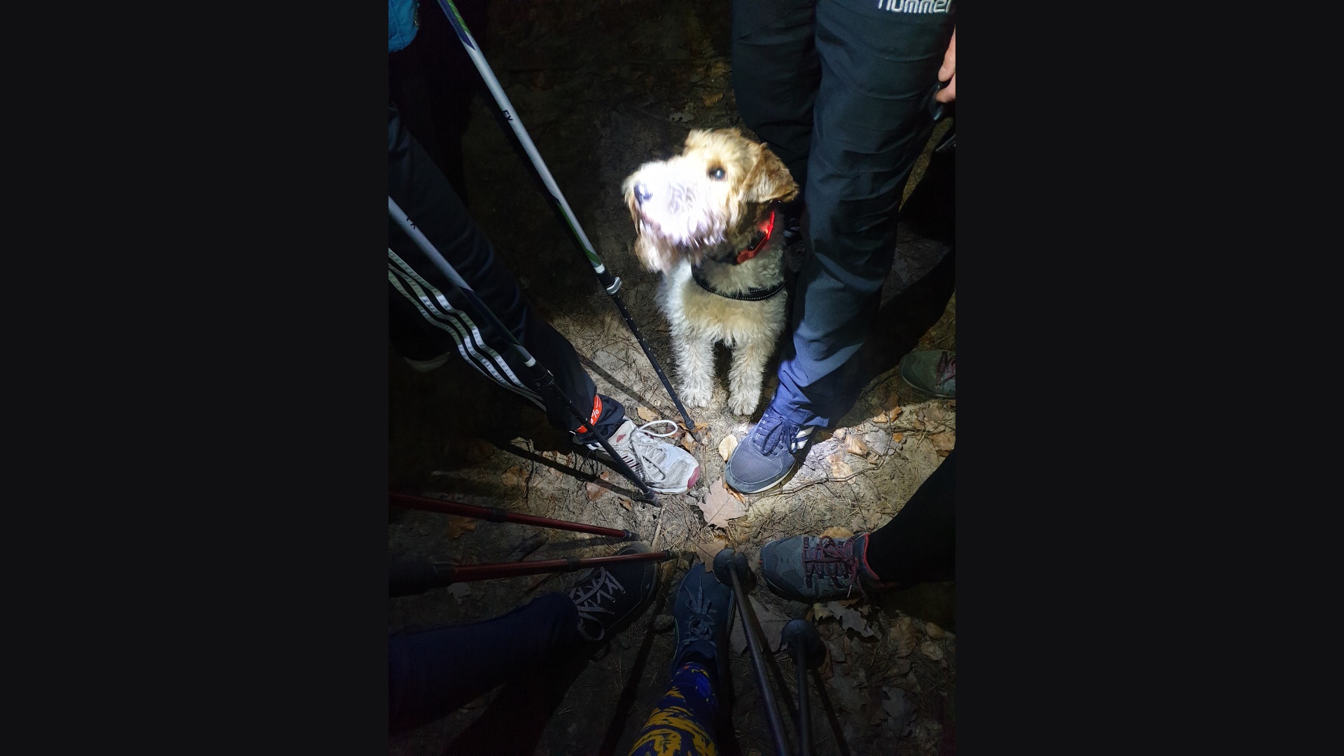 Marsz "Kijki w ruch". Fot. Wioletta Czuryńska/arch. prywatne. 