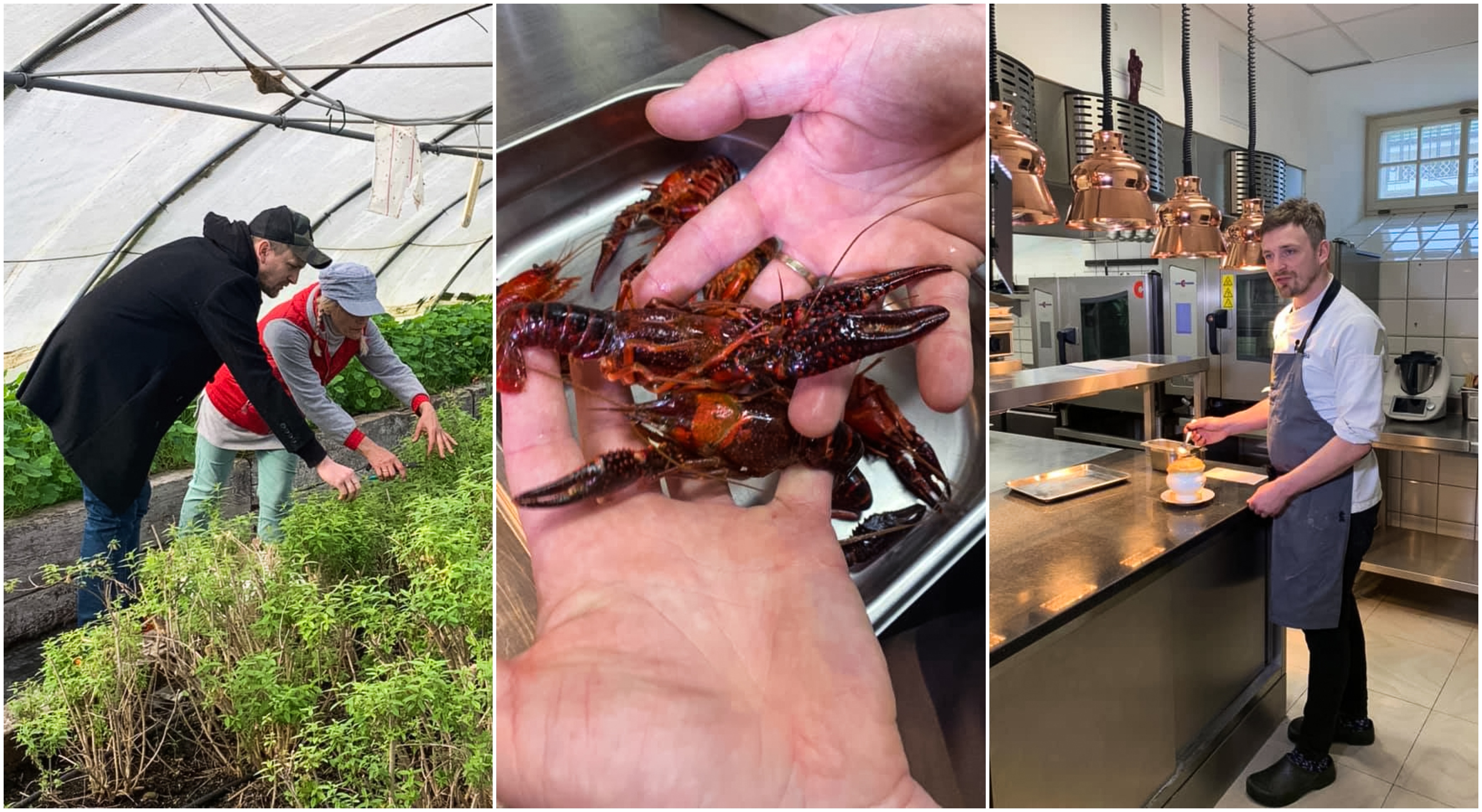 Szef kuchni restauracji Biały Kr&oacute;lik przygotowuje się do Światowego Dnia Turystyki Kulinarnej. Fot. Pomorska Regionalna Organizacja Turystyczna