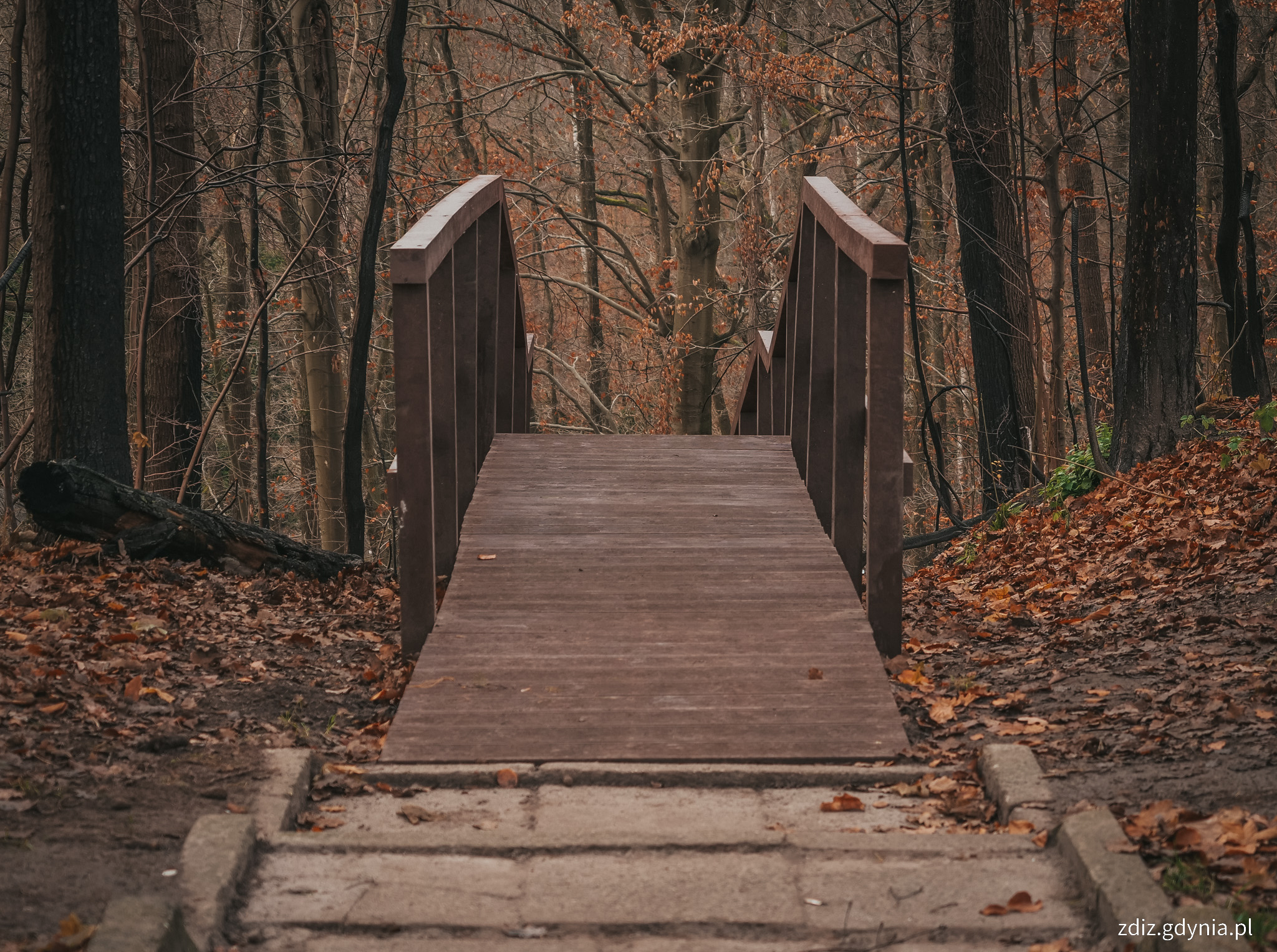  Odbudowane schody na Babich Dołach // fot. M. Mielewski