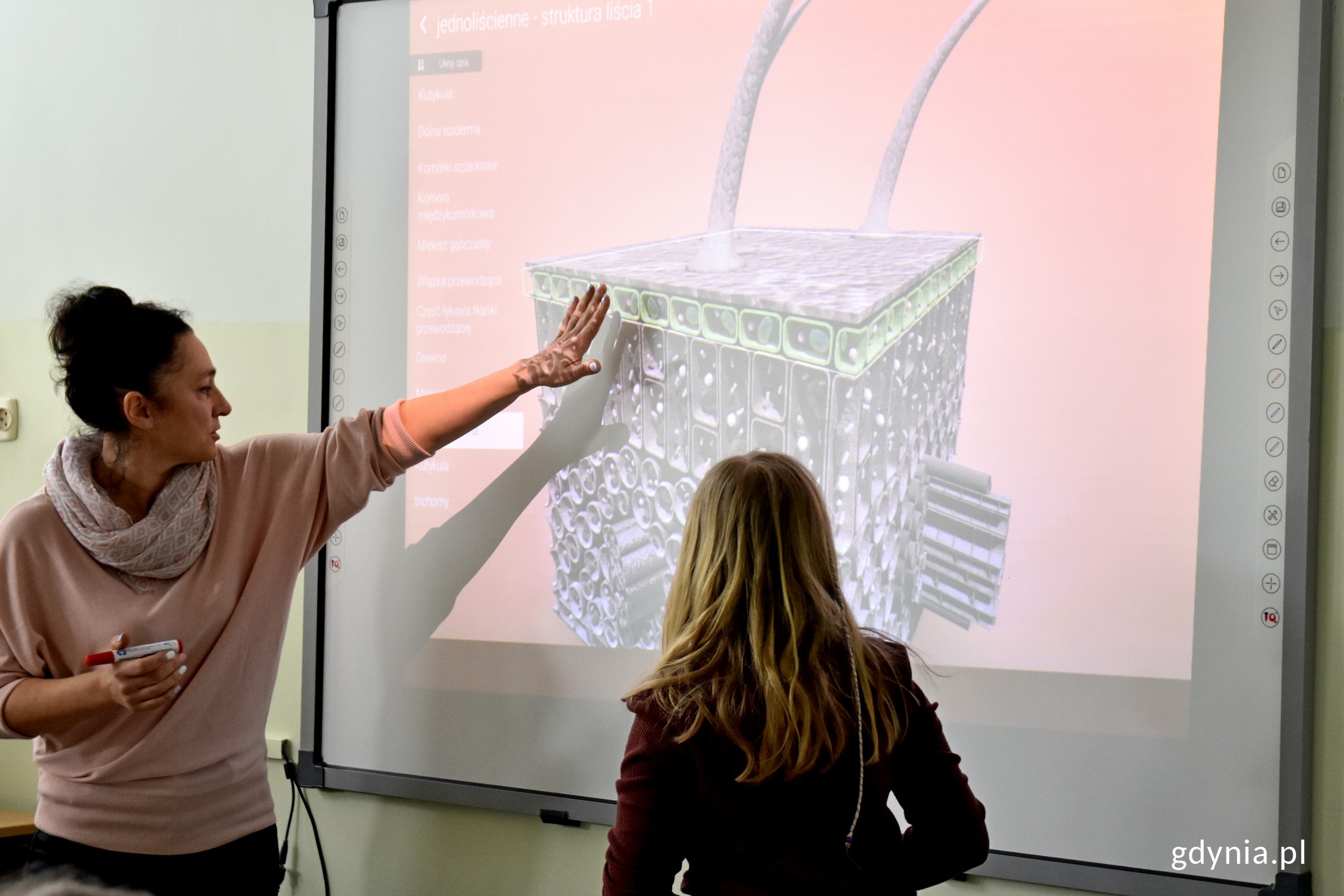 Zajęcia z wykorzystaniem aplikacji 3D prowadzone są w 23 gdyńskich szkołach podstawowych, fot. Jan Ziarnicki