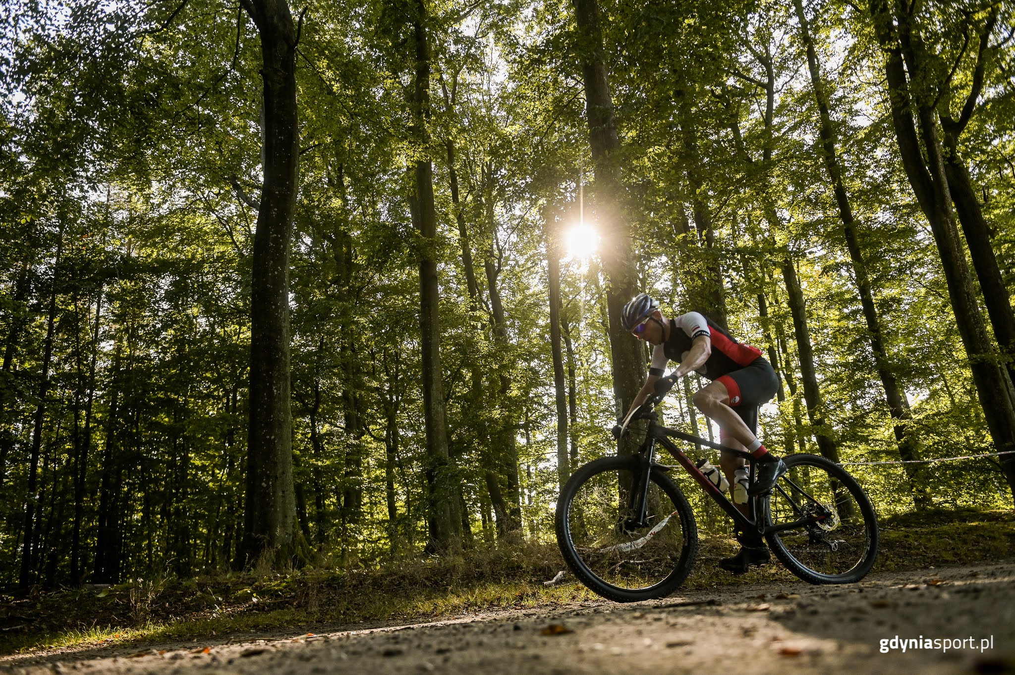 Jeden z zawodnik&oacute;w na leśnym odcinku trasy. Przez drzewa przebija słońce // fot. gdyniasport.pl