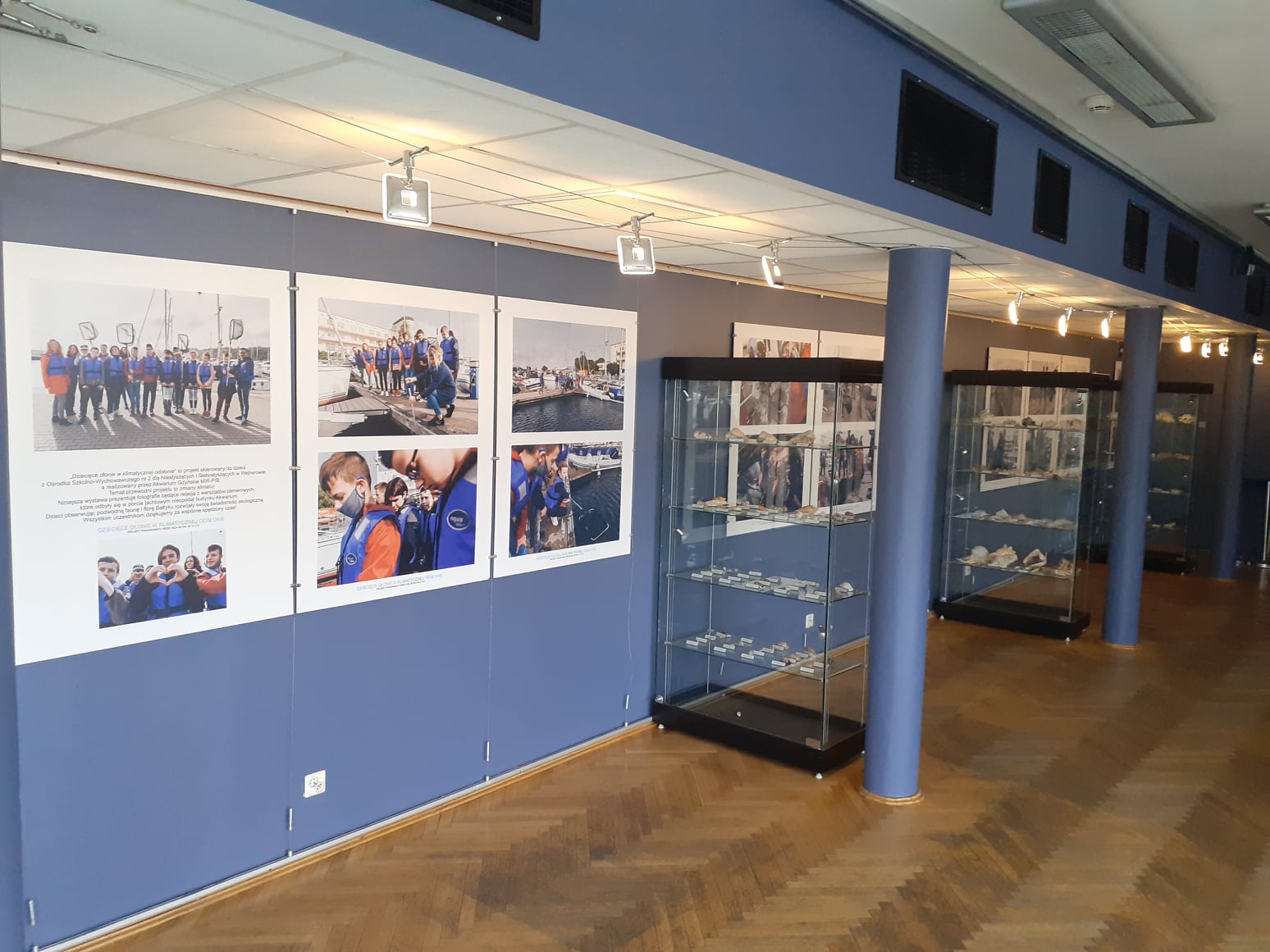 Wystawa dostępna do 6 grudnia, fot. Akwarium Gdyńskie