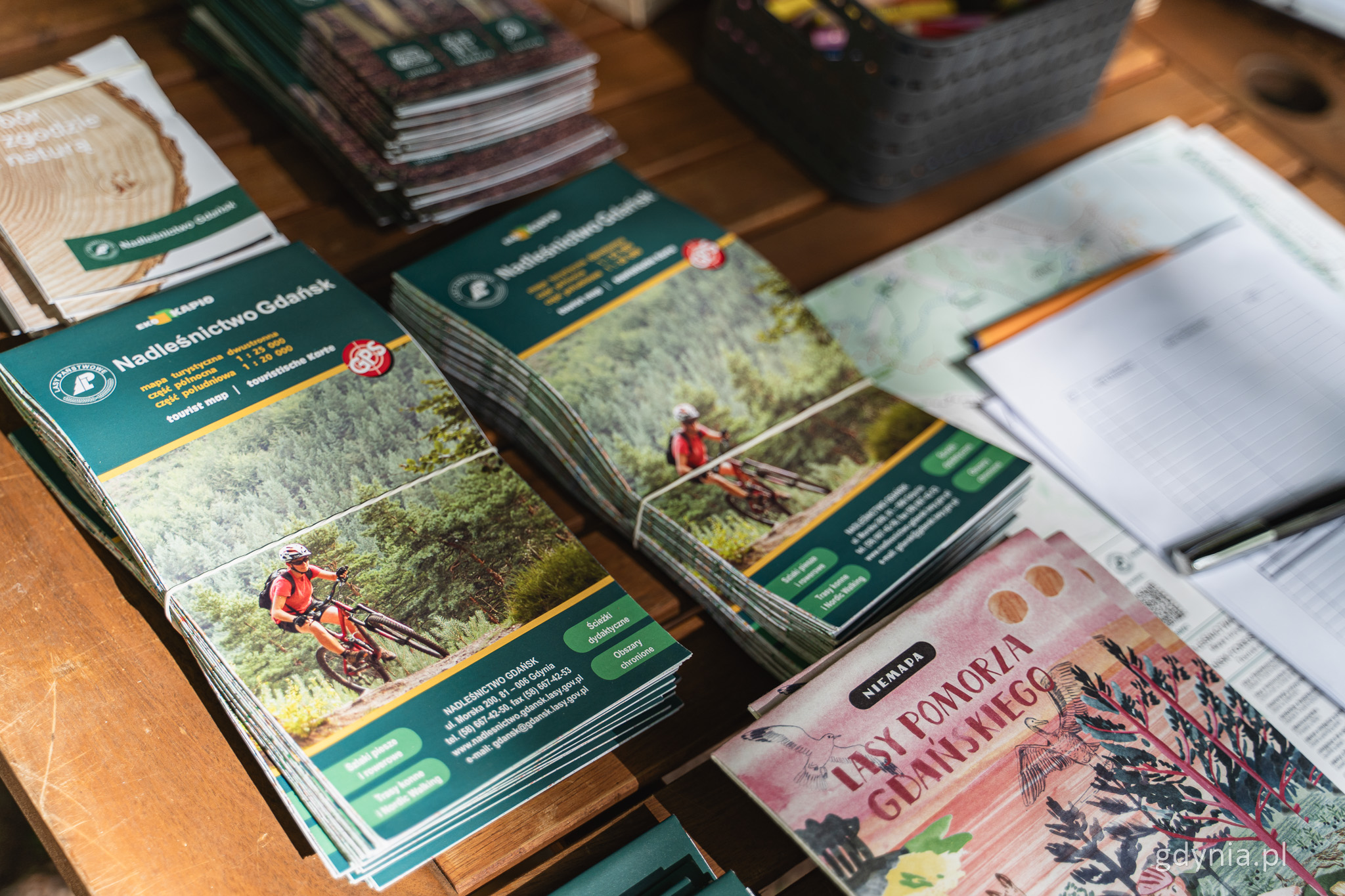 St&oacute;ł, ułożone w rzędach mapy Nadleśnictwa Gdańsk