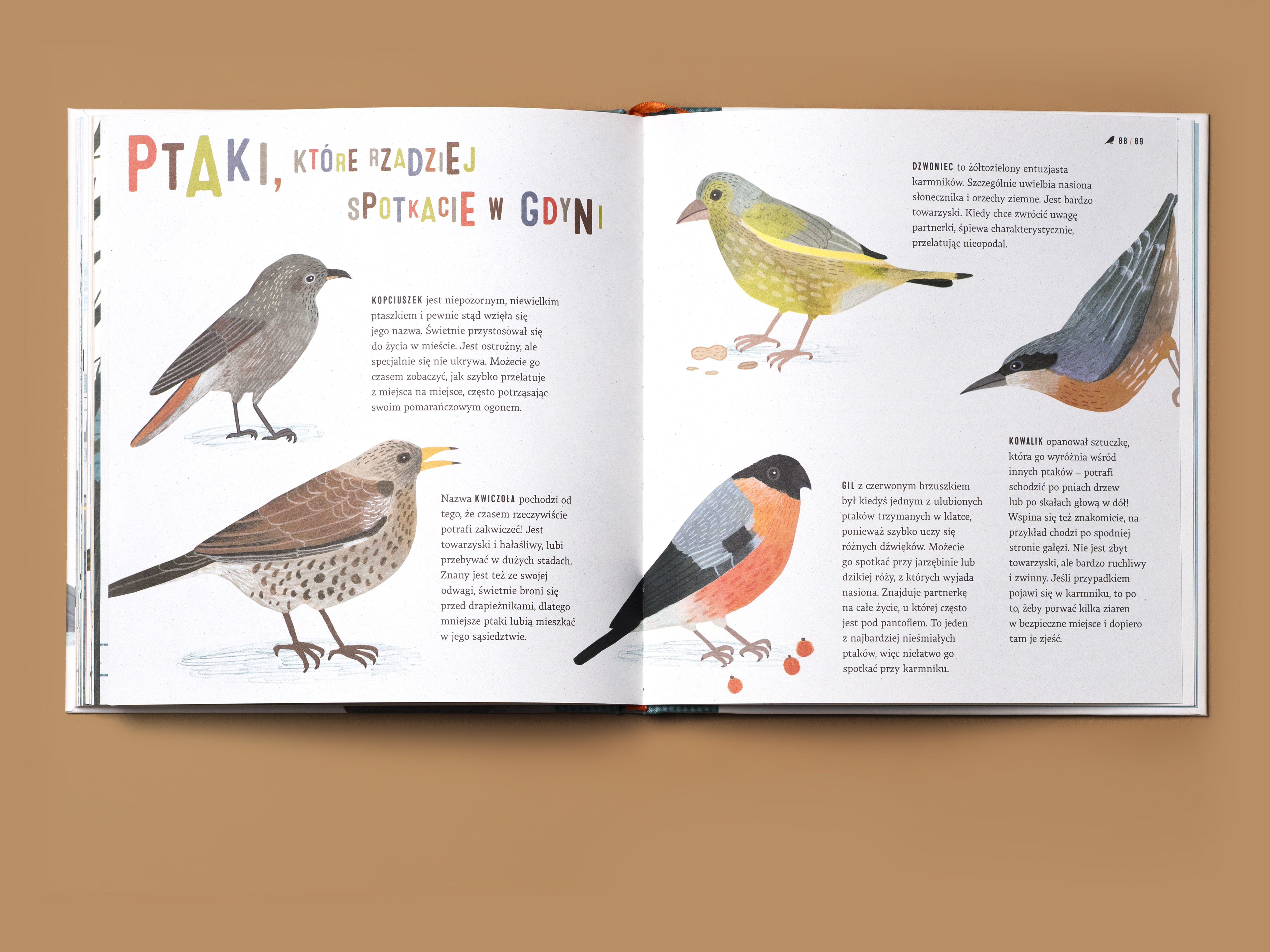 Książka &bdquo;Zapraszamy ptaki do Gdyni&rdquo; dostępna w sklepie Muzeum Miasta Gdyni, fot. mat. prasowe
