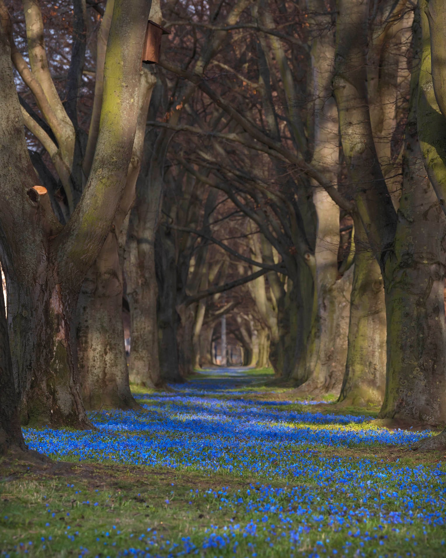 fot. Magdalena Niewidoki (zdjęcie z grupy Gdynia w obiektywie)