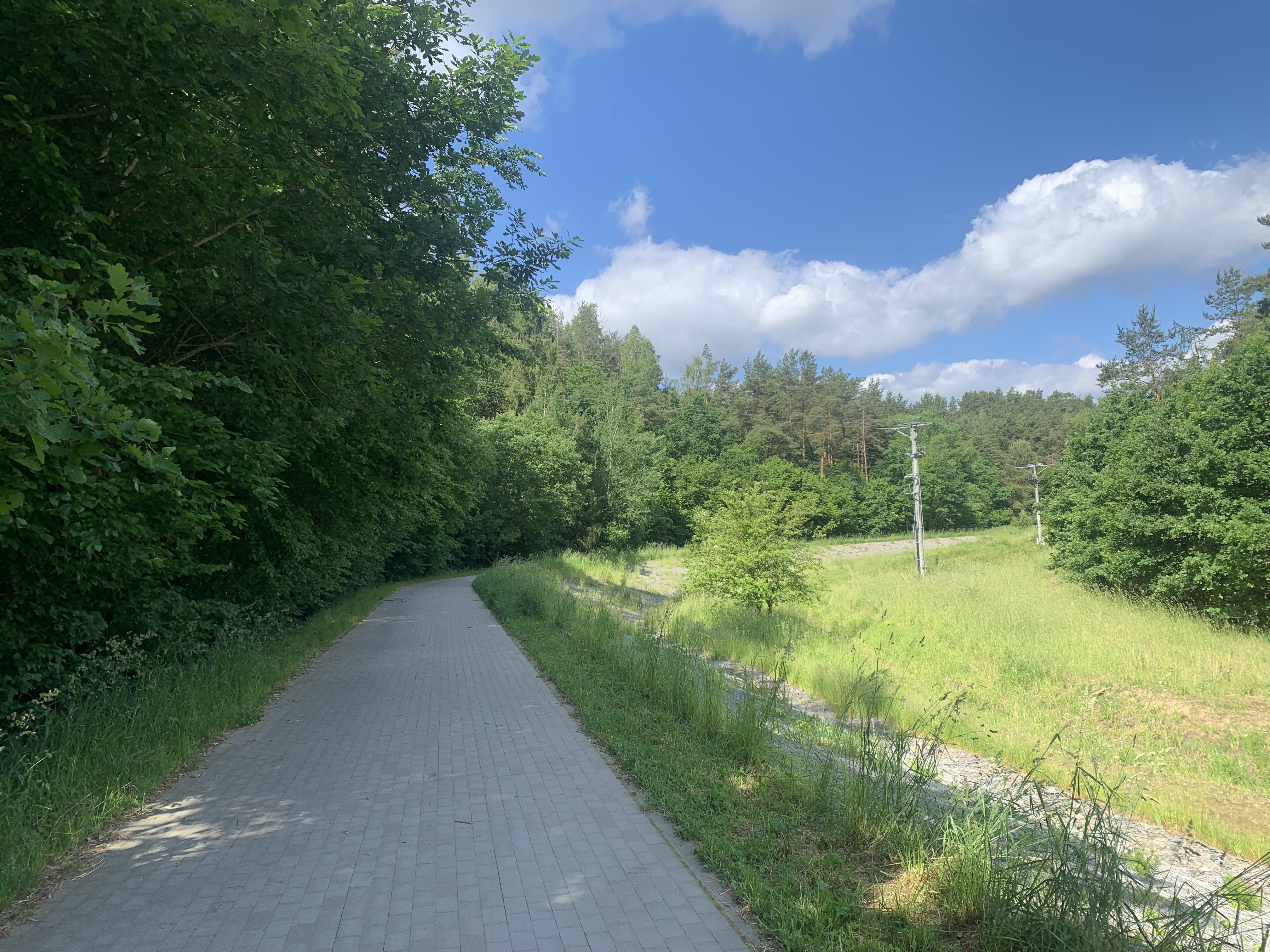  Doświetlamy ciąg pieszy wzdłuż Potoku Wiczlińskiego //fot.D.Matejczyk