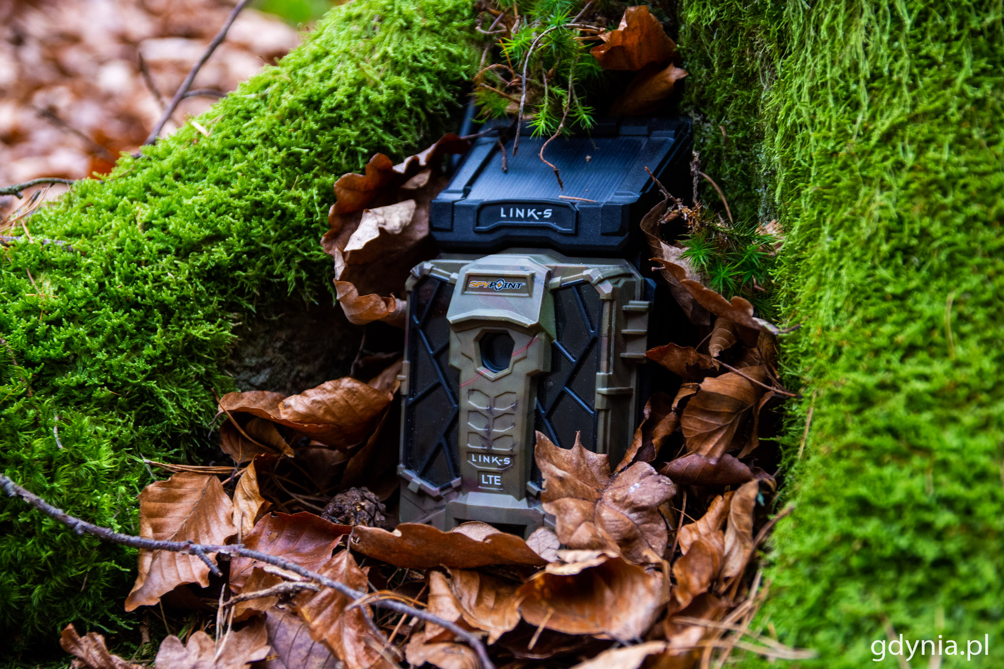 Fotopułapki można dobrze ukryć. Dzięki materiałom, kt&oacute;re rejestrują można ukarać osoby popełniające wykroczenie // fot. Paweł Kukla