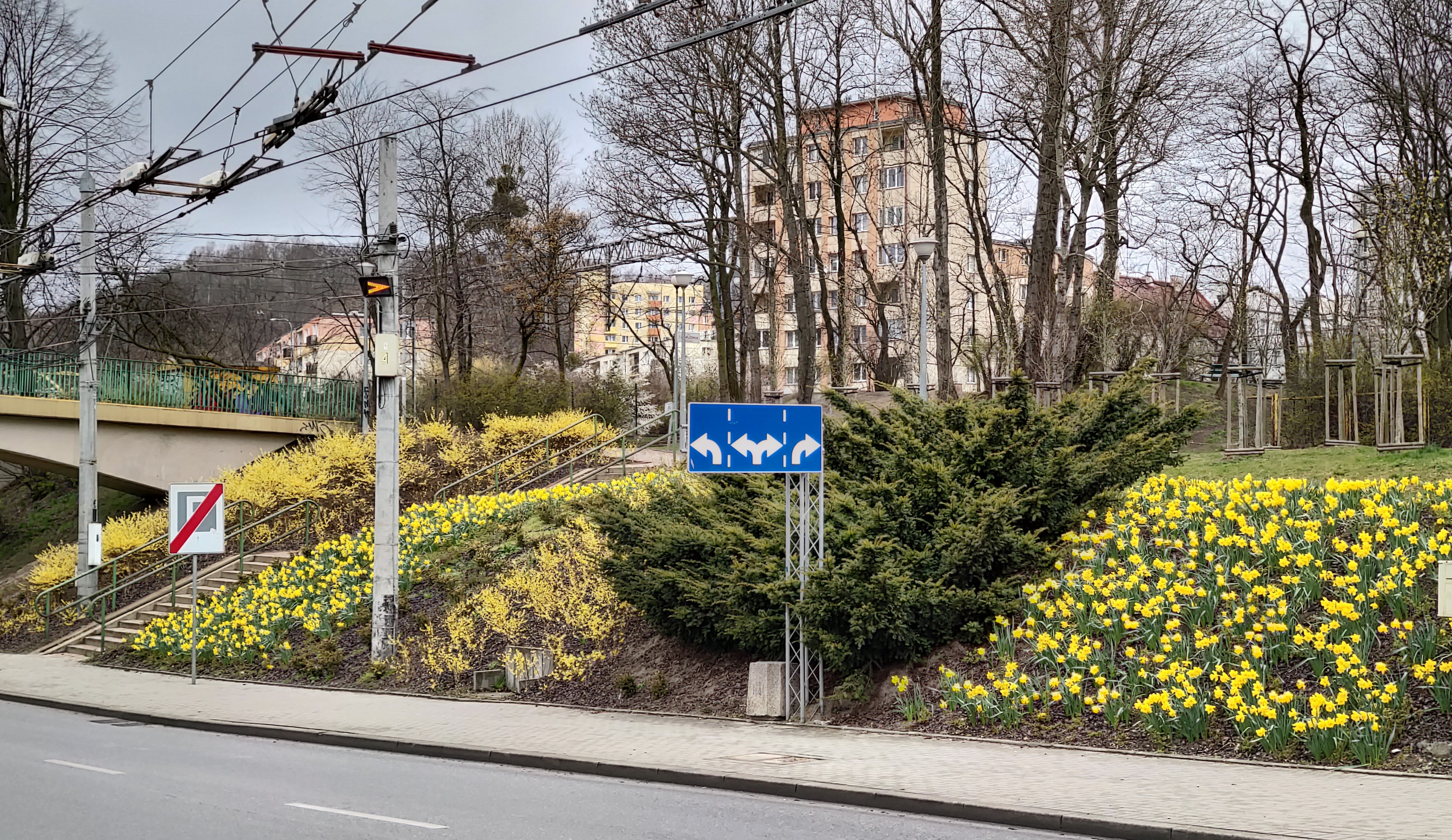 Węzęł F. Cegielskiej // fot. Wydział Ogrodnika Miasta 
