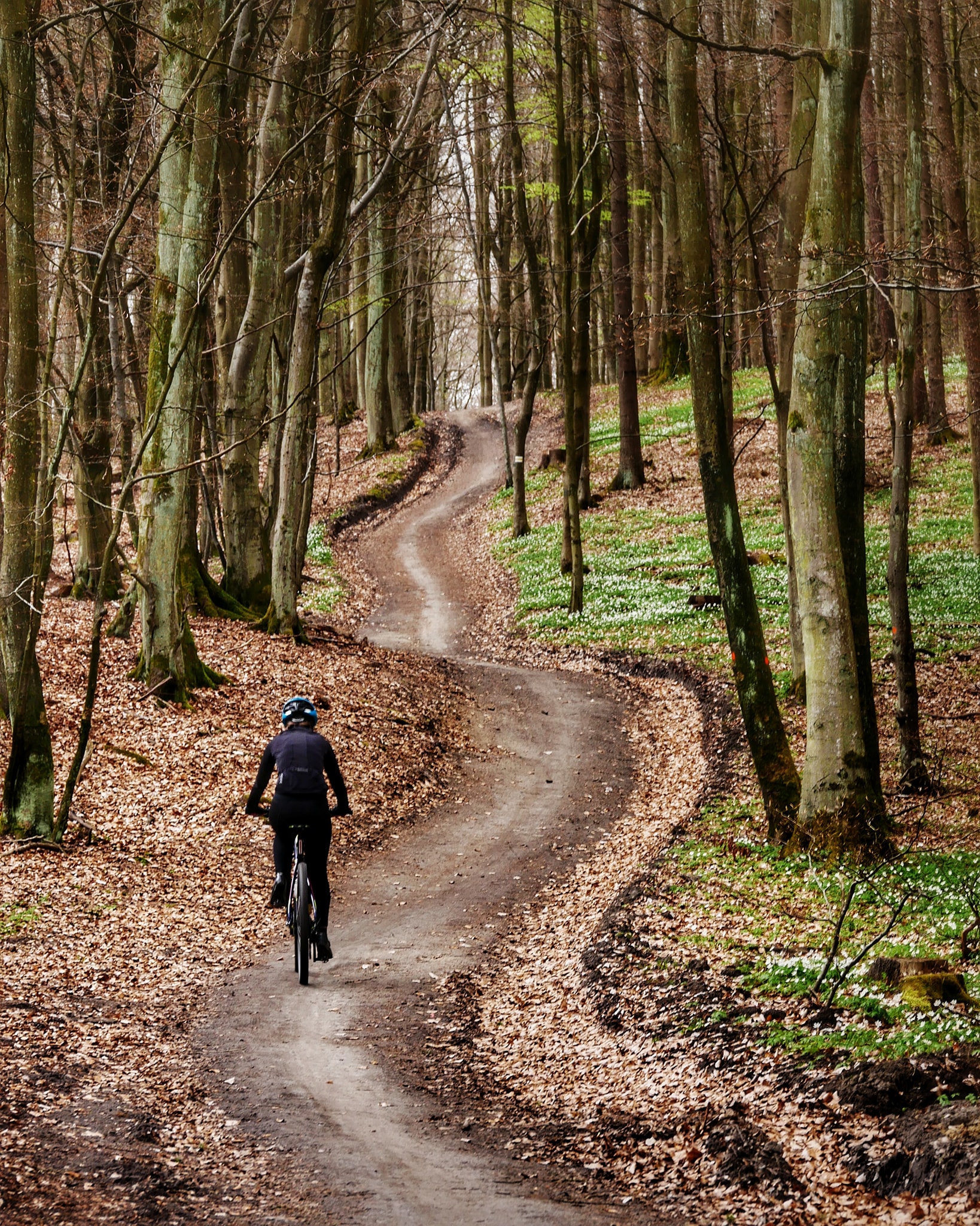 Tr&oacute;jmiejski Park Krajobrazowy, czyli jedno z ulubionych miejsc, gdzie gdynianie spędzają wolny czas lub uprawiają sport blisko swoich dom&oacute;w, fot. Roman Pe / z naszej facebookowej grupy &bdquo;Gdynia w obiektywie&rdquo;