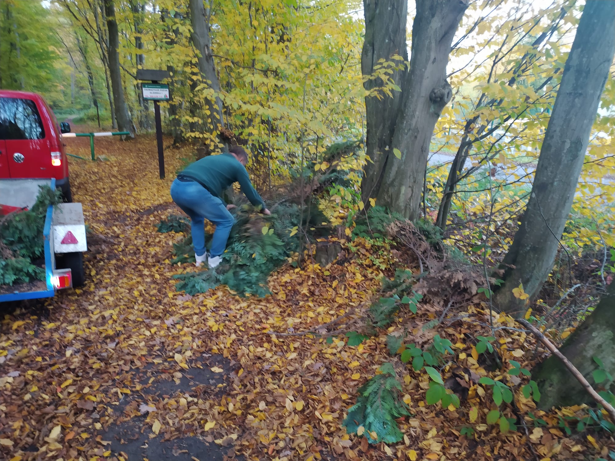 Wyrzucanie odpad&oacute;w zielonych np. w lesie, to wykroczenie // fot. Straż Miejska Gdynia