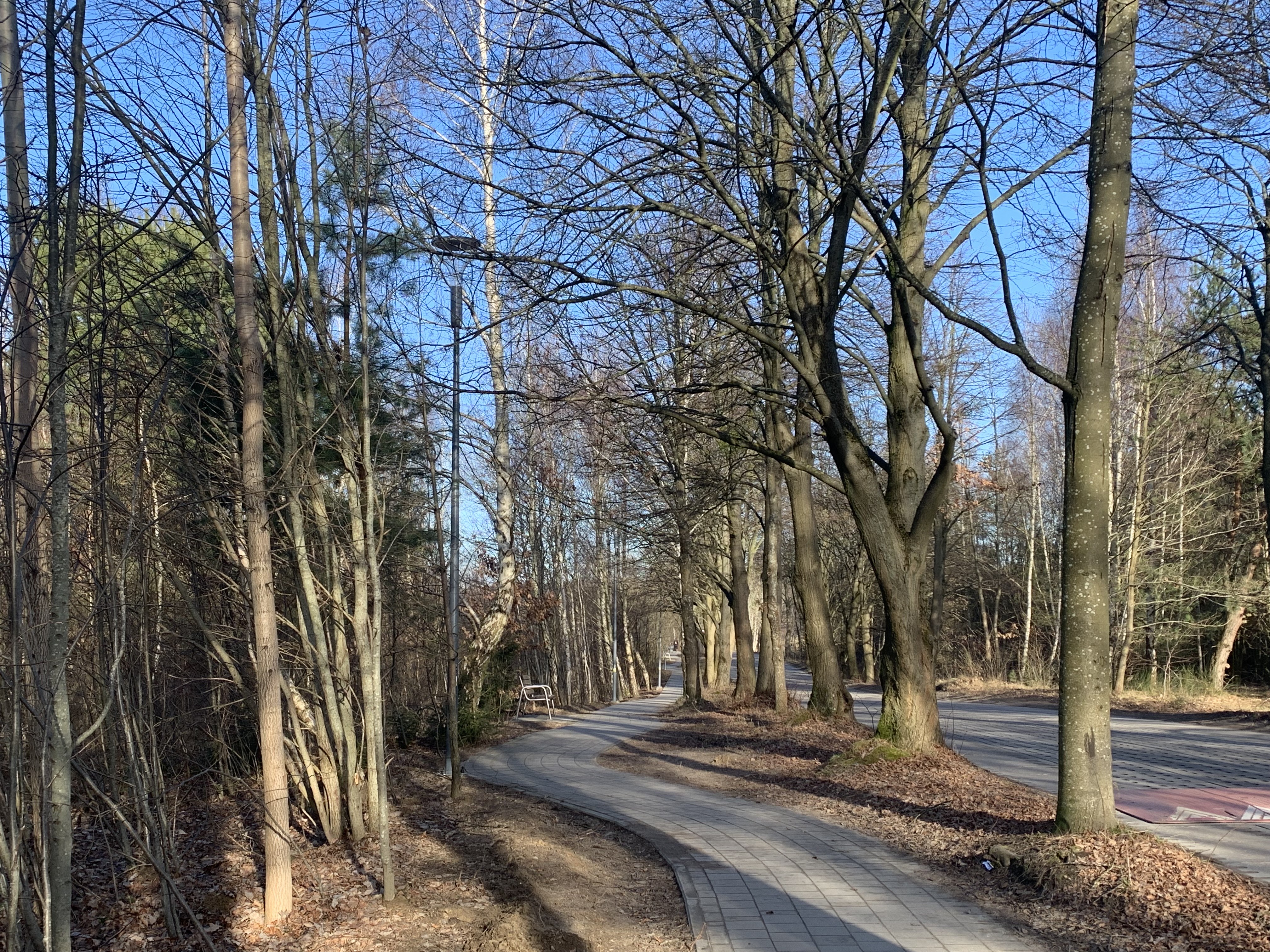 oświetlenie na ulicy Augustyna Krauzego, fot. D.Matejczyk, WI UM