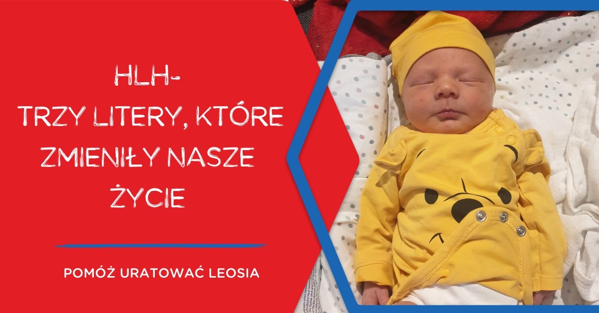 Plakat ze zdjęciem Leosia HLH &ndash; trzy litery, kt&oacute;re zmieniły ich życie. Pom&oacute;ż uratować Leosia. Mat. prasowe DKMS.