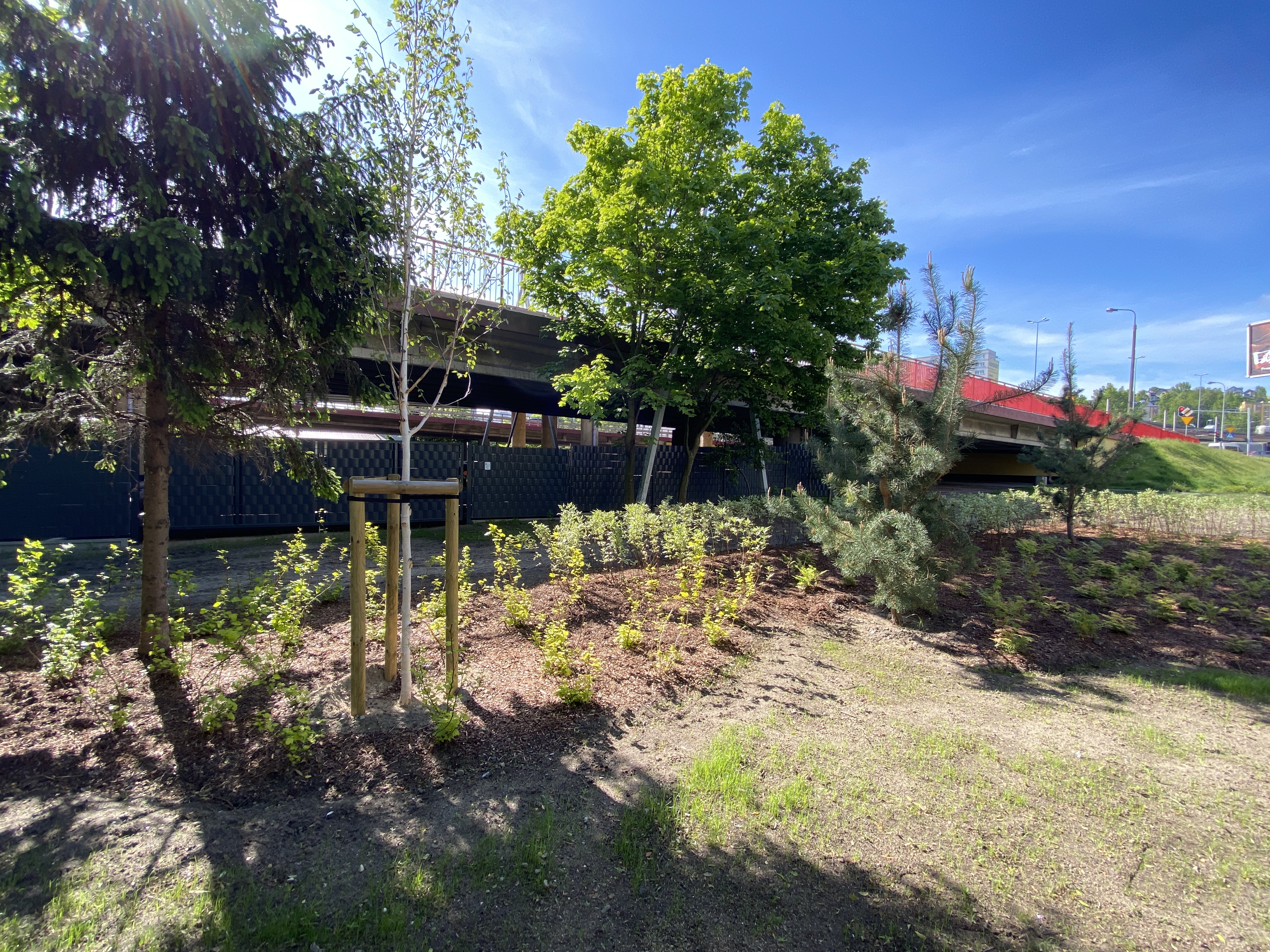 Tak wygląda nowy park przy ul. Dantyszka // fot. ZDiZ