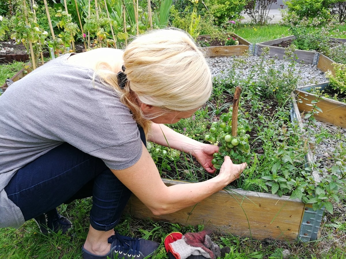 kobieta pracuje w ogrodzie