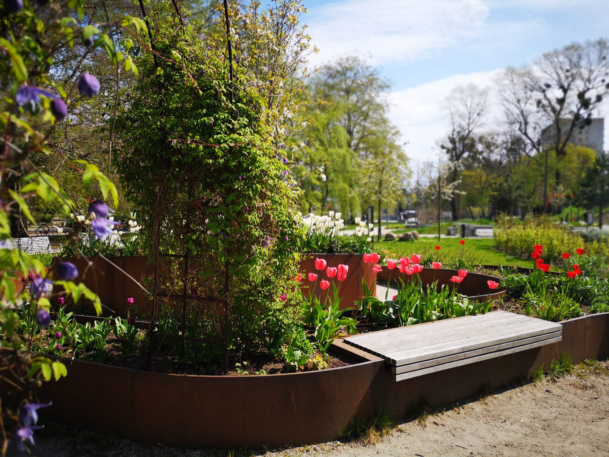 fot. Karolina Szypelt (z naszej grupy Gdynia w obiektywie)