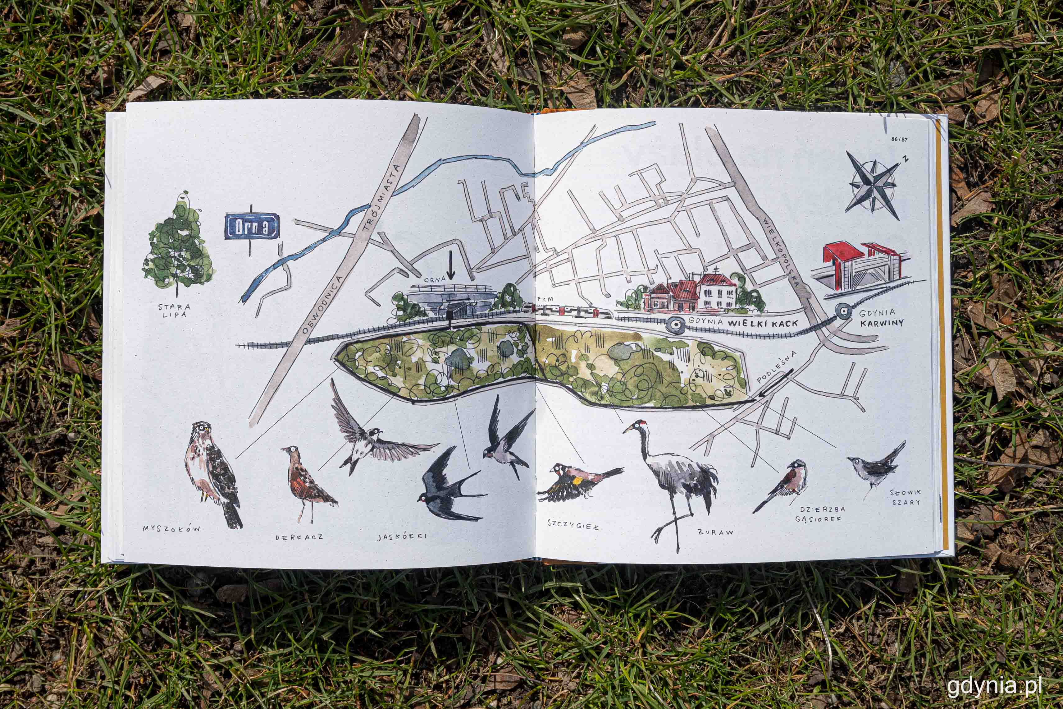Nowa książka &bdquo;Gdynia: ptasie miasto&rdquo;, fot. Kamil Złoch
